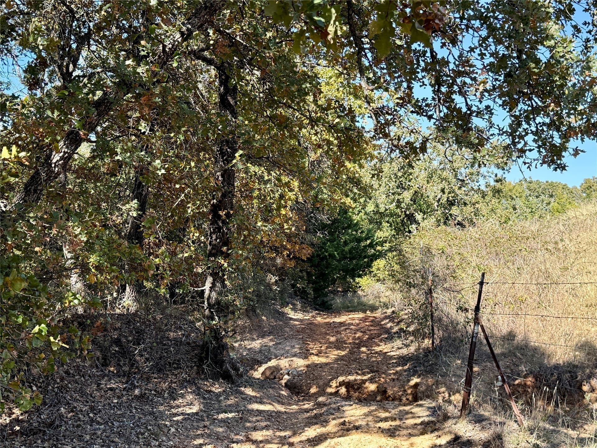 25 acres in Montague County - photo 16