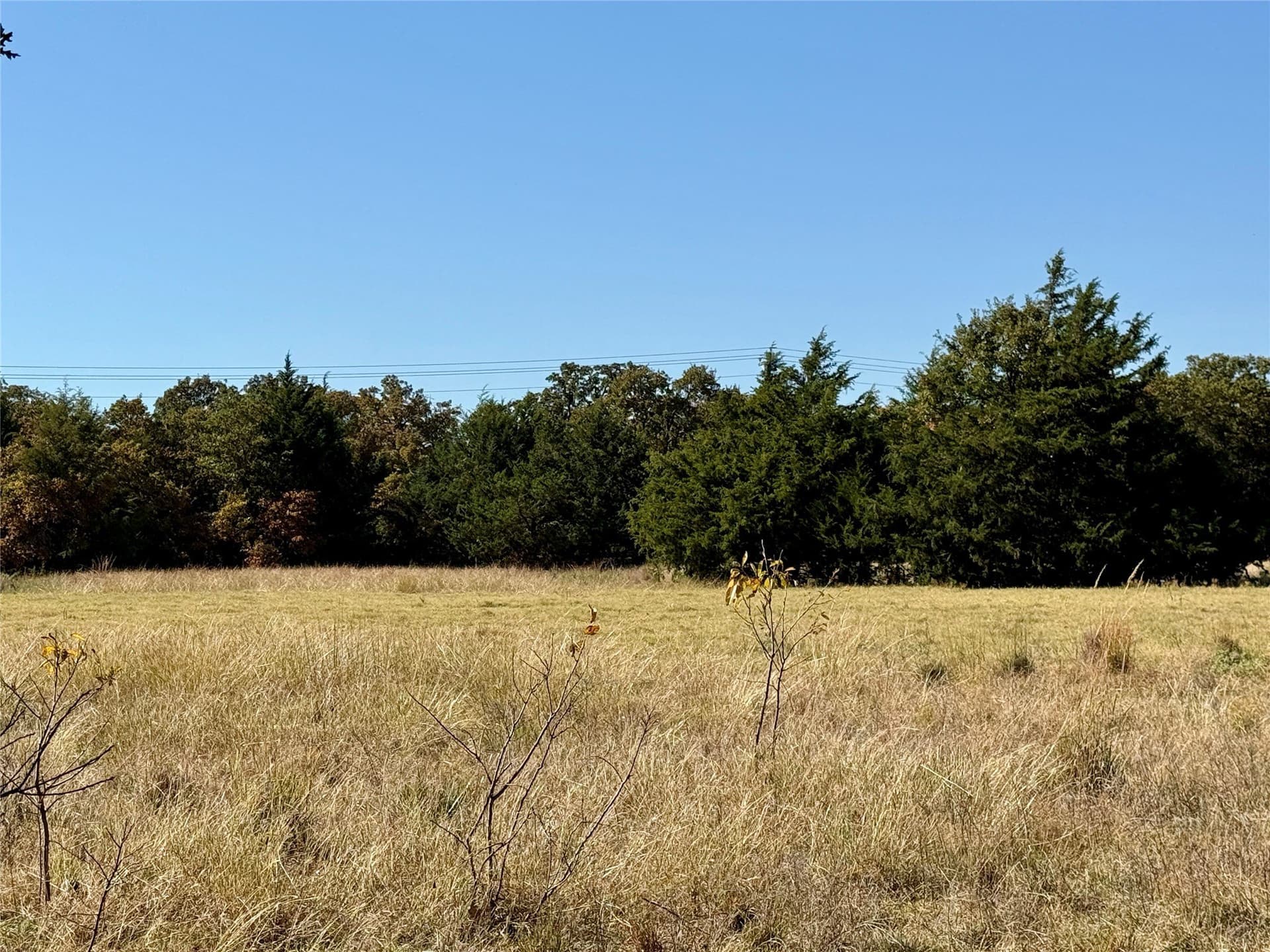 25 acres in Montague County - photo 10