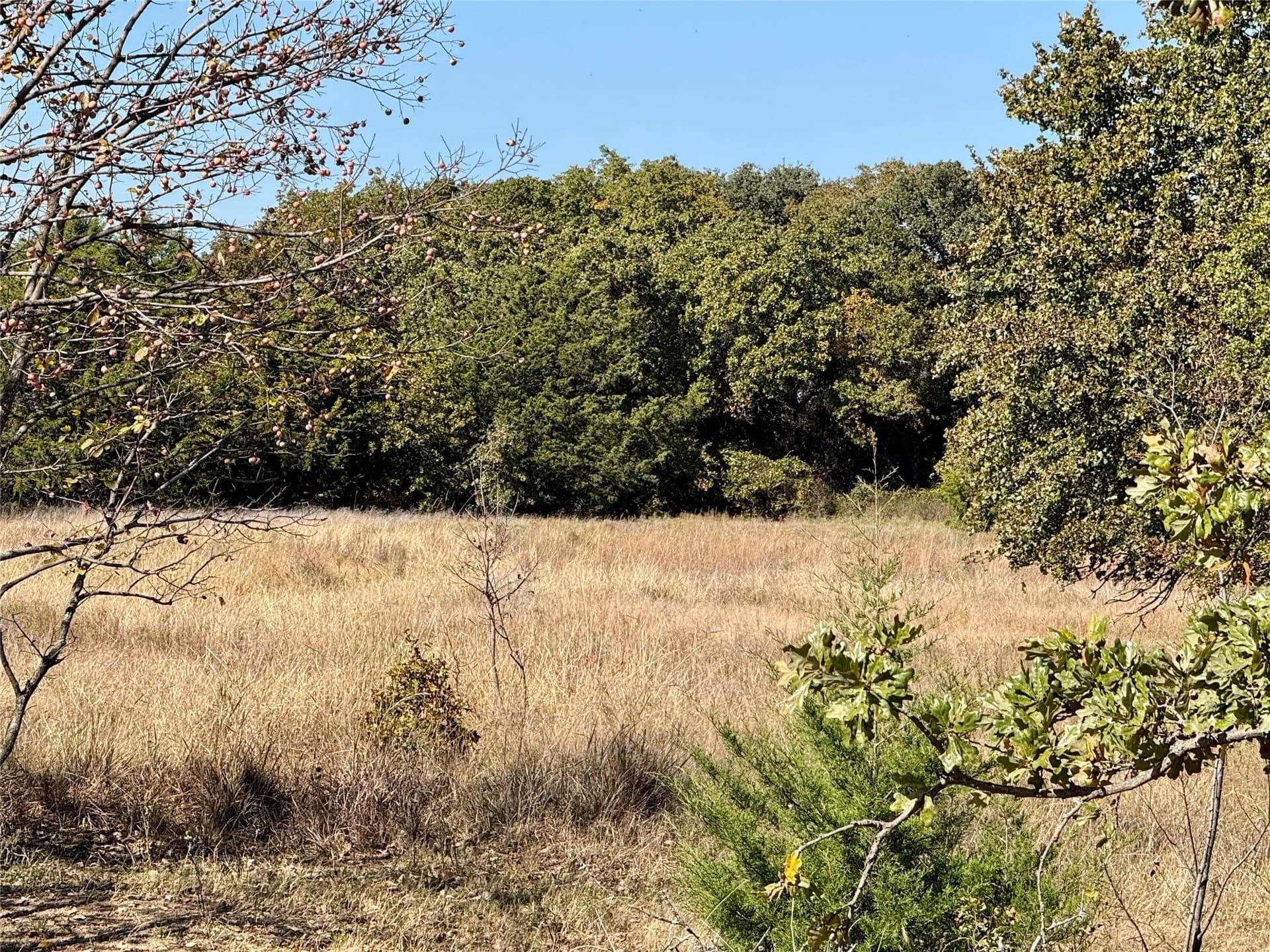 25 acres in Montague County - photo 14