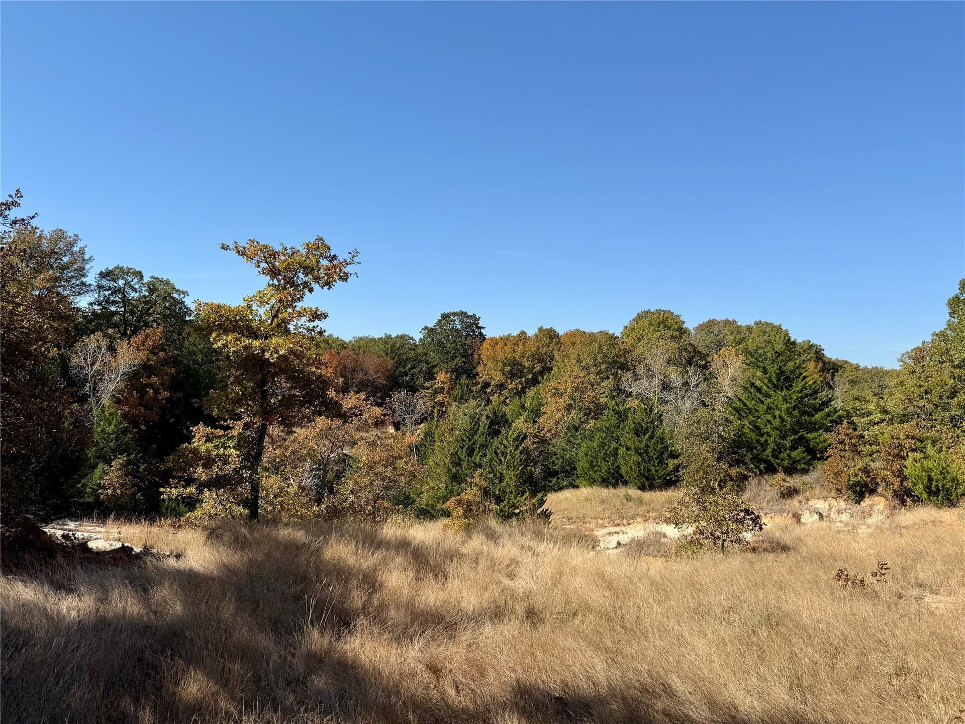 25 acres in Montague County - photo 25