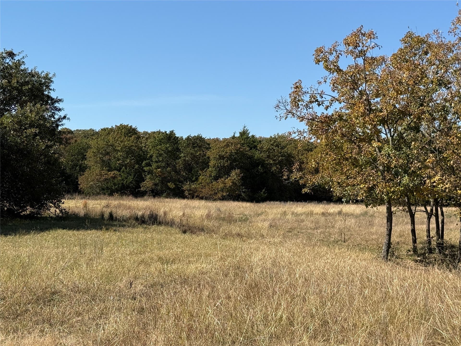 25 acres in Montague County - photo 15