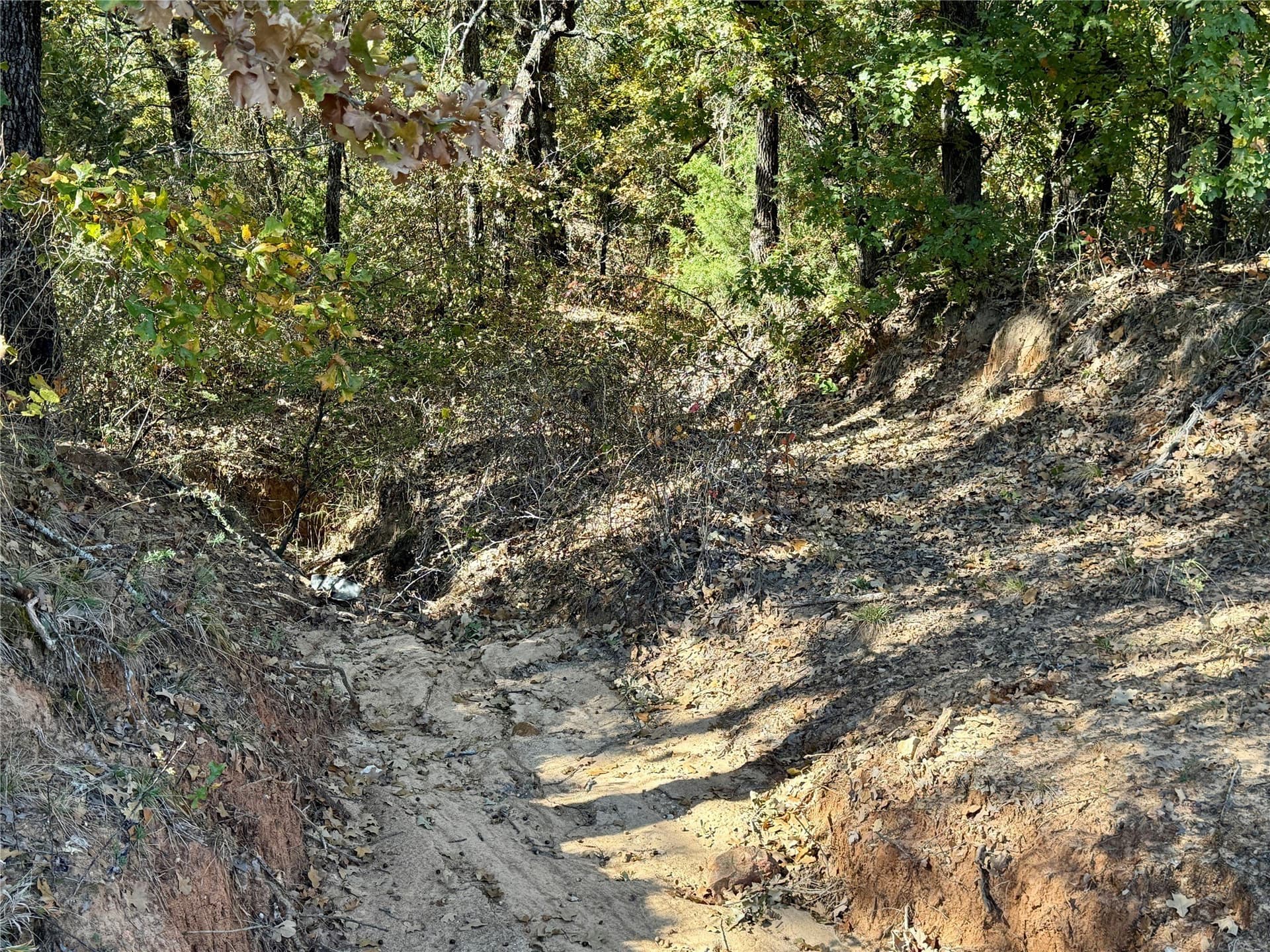 25 acres in Montague County - photo 19