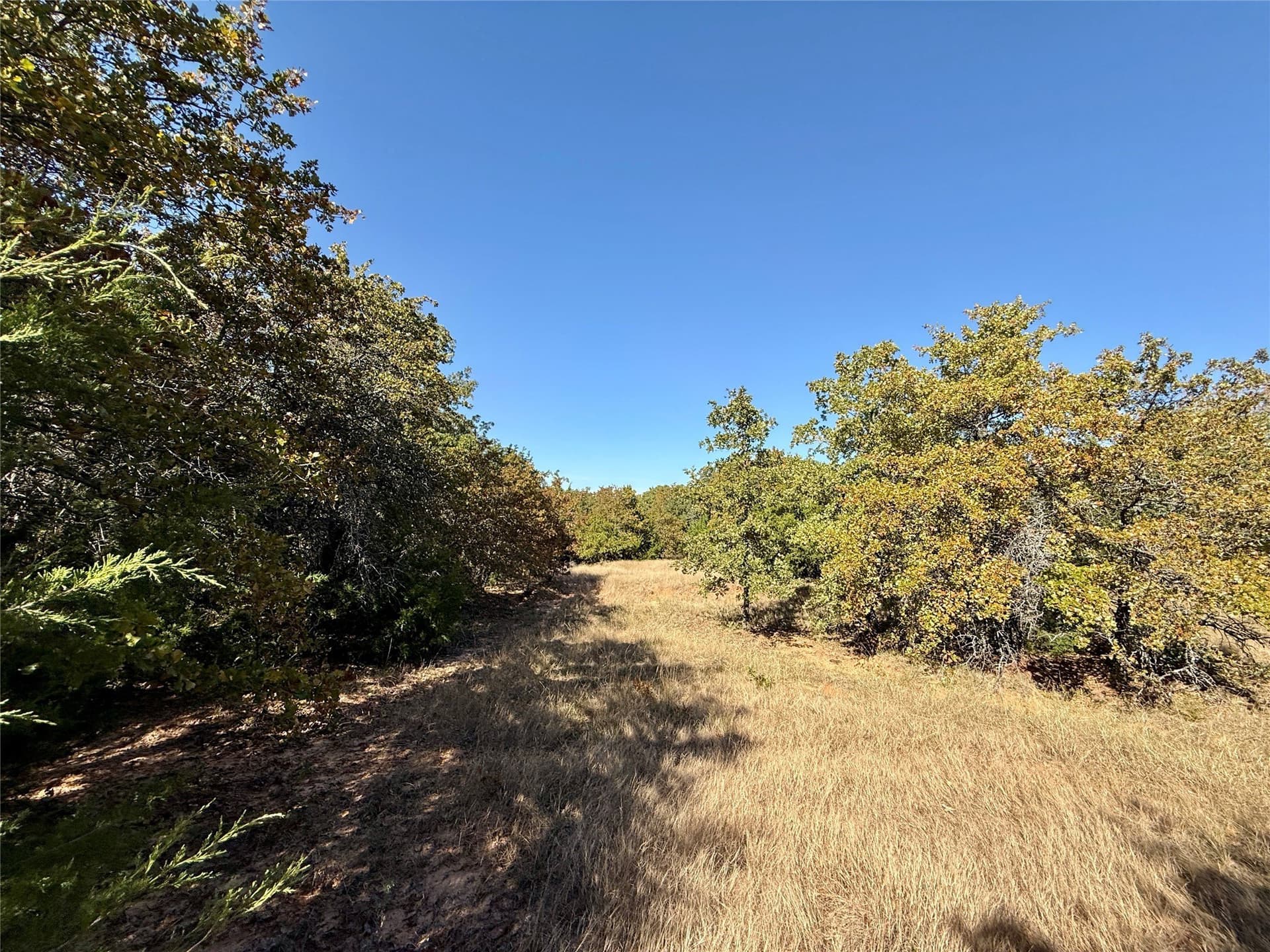 25 acres in Montague County - photo 23