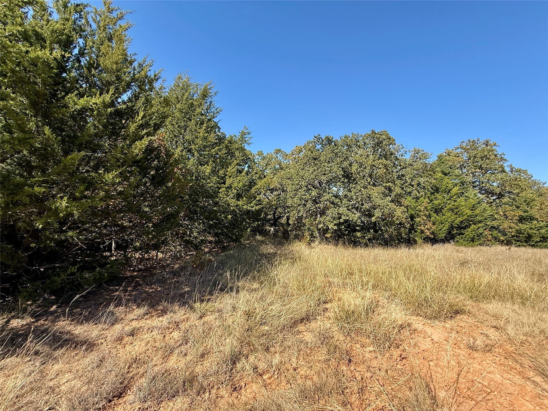 25 acres in Montague County - photo 21