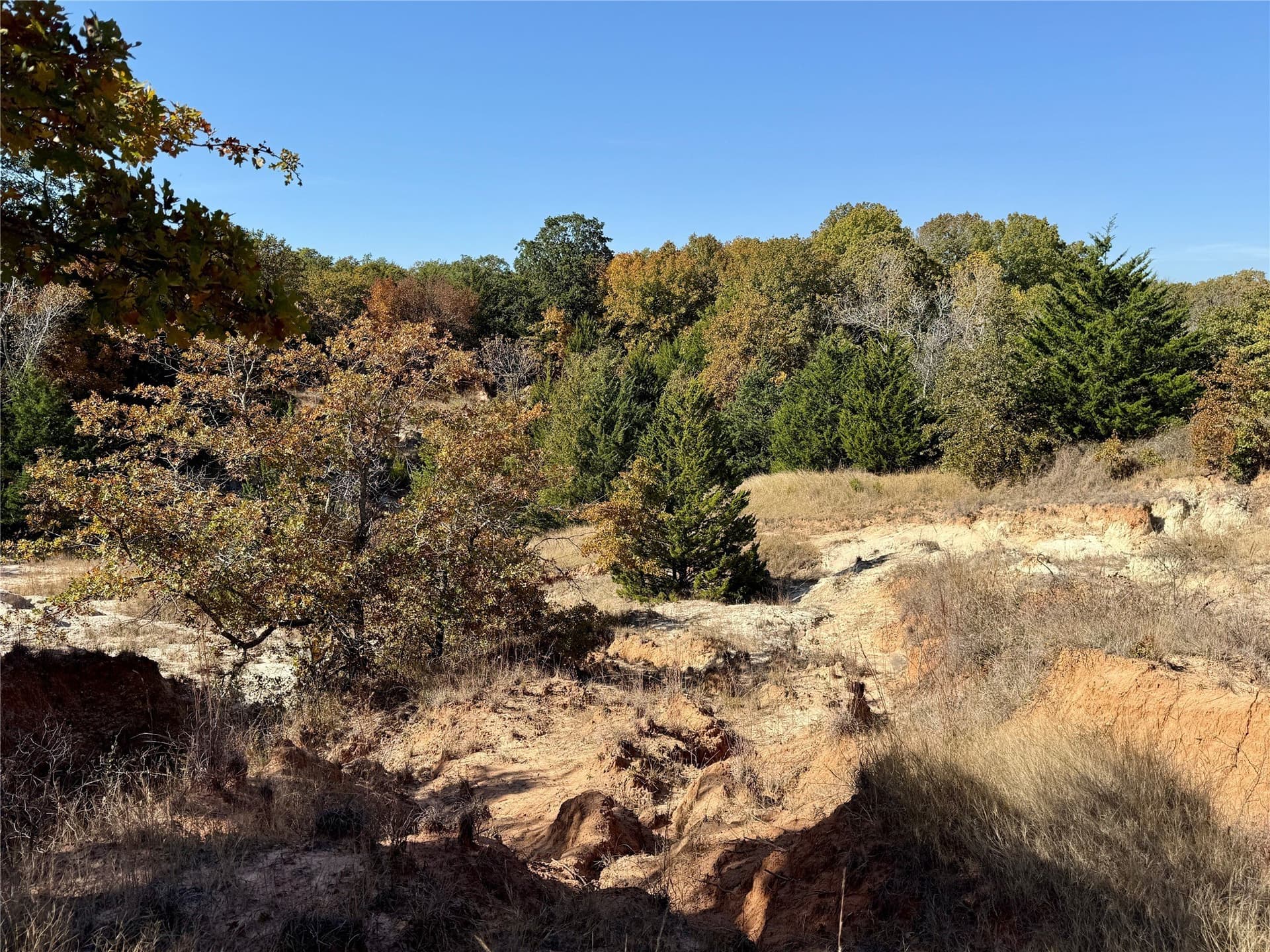 25 acres in Montague County - photo 27