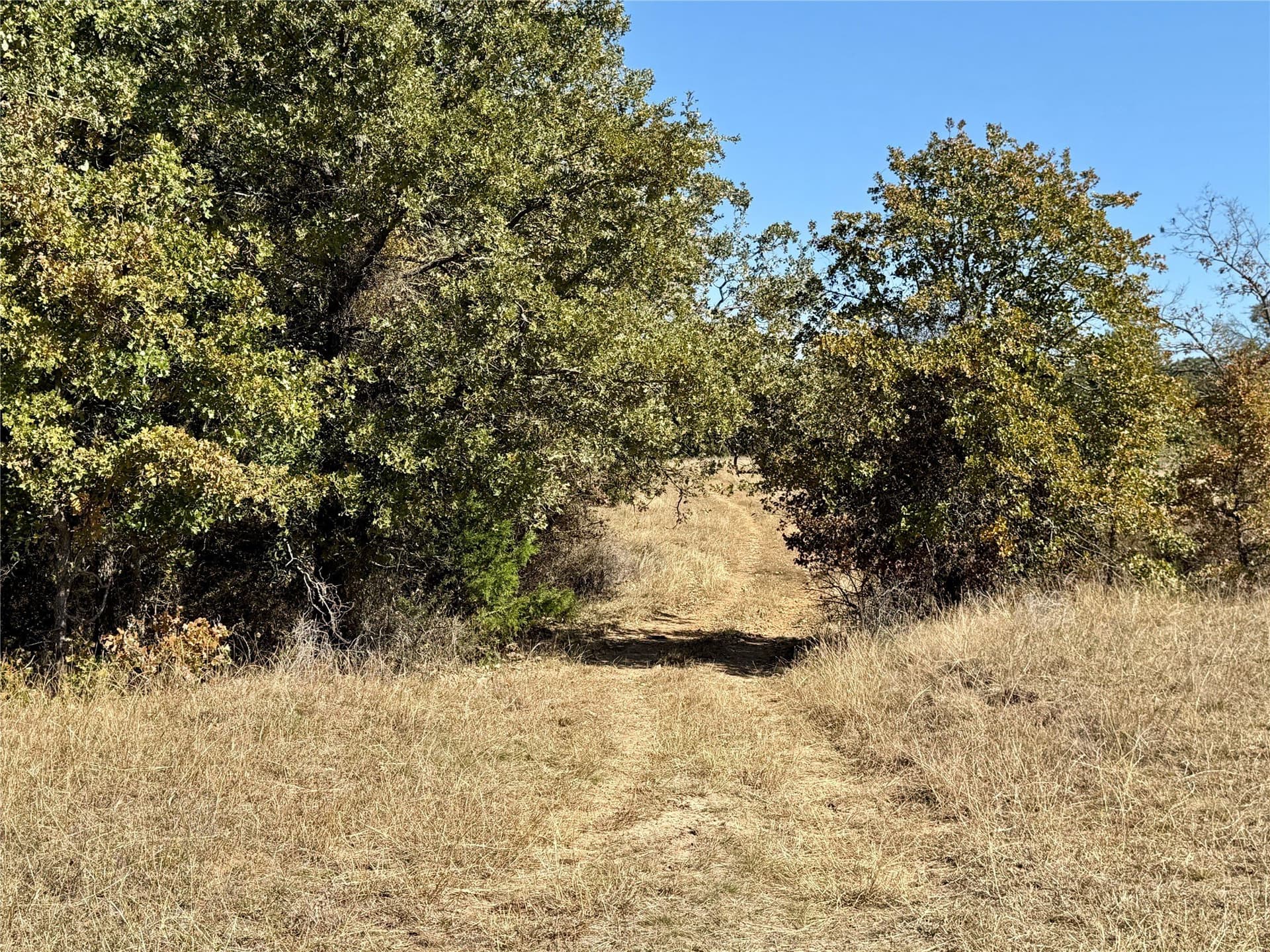 25 acres in Montague County - photo 17