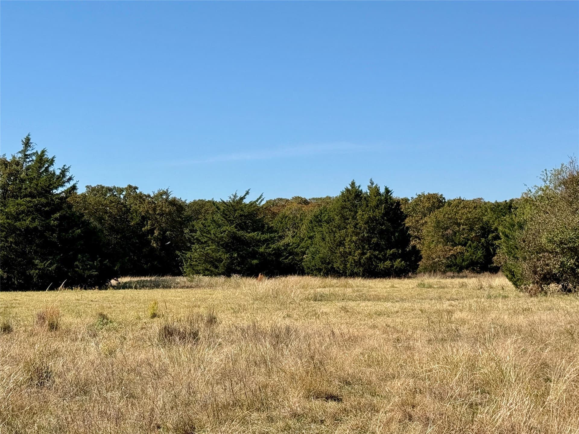25 acres in Montague County - photo 9