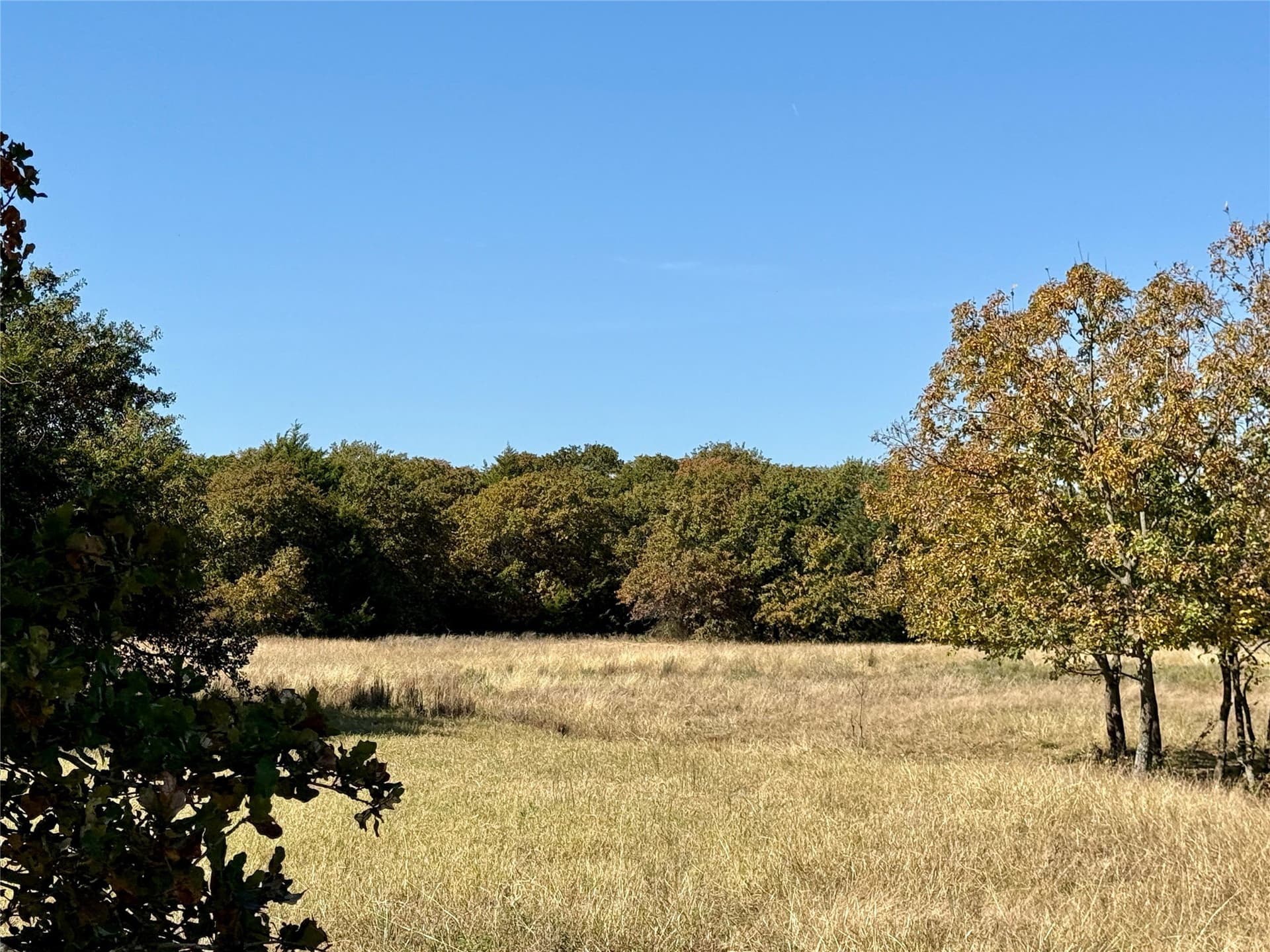 25 acres in Montague County - photo 11