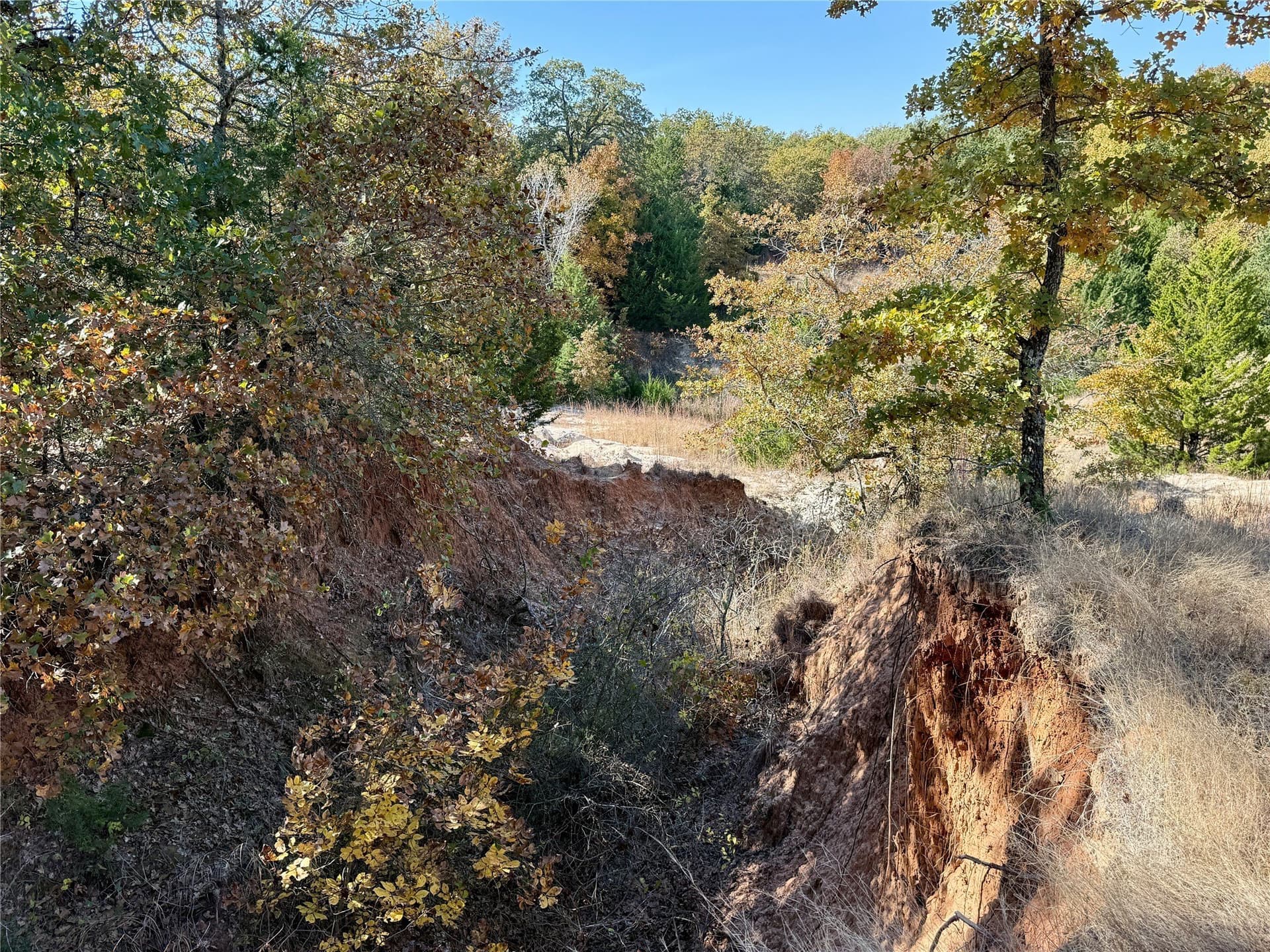 25 acres in Montague County - photo 26