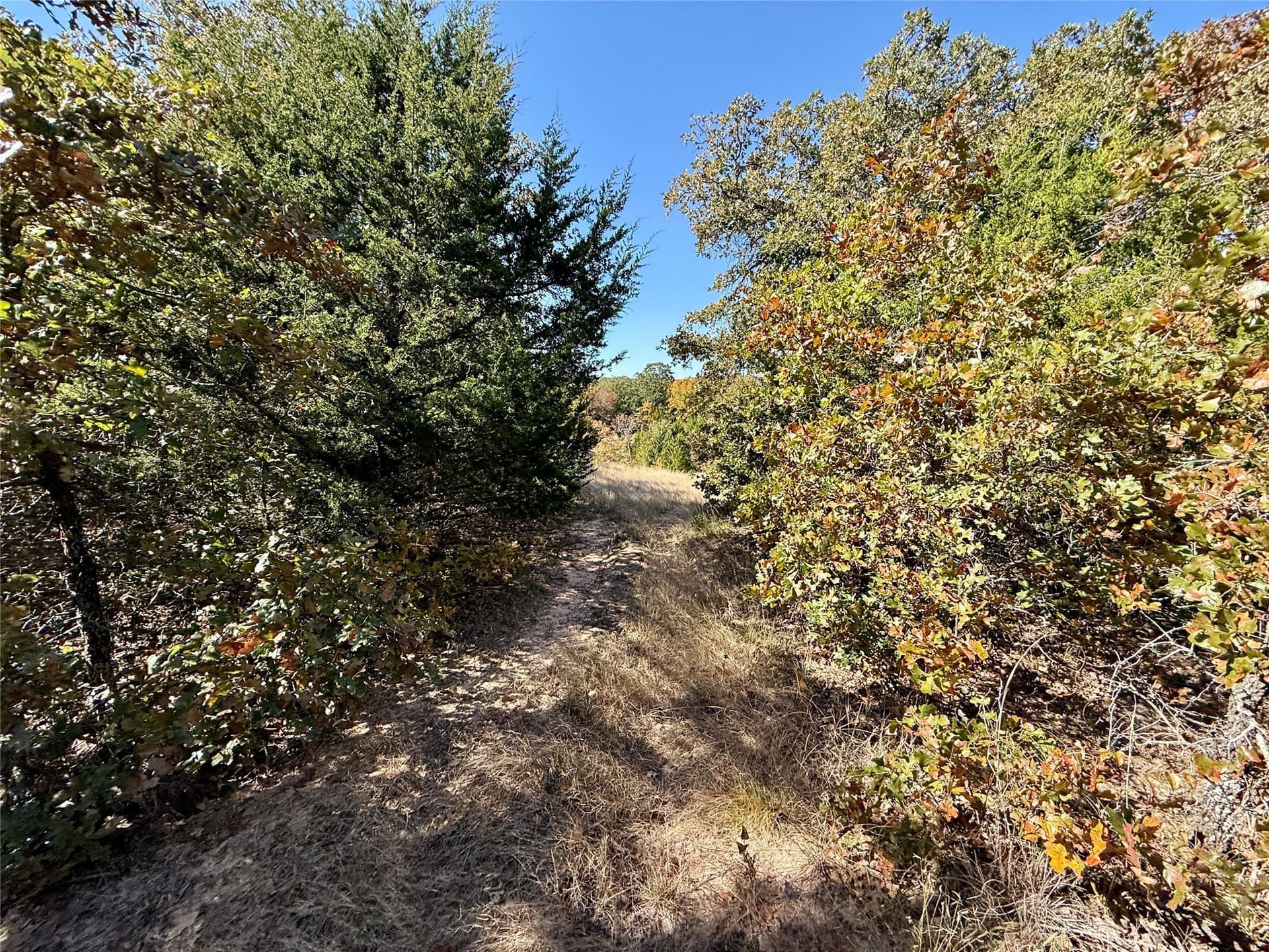 25 acres in Montague County - photo 22