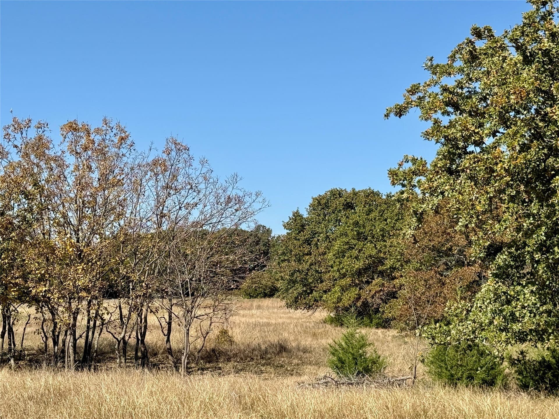 25 acres in Montague County - photo 12