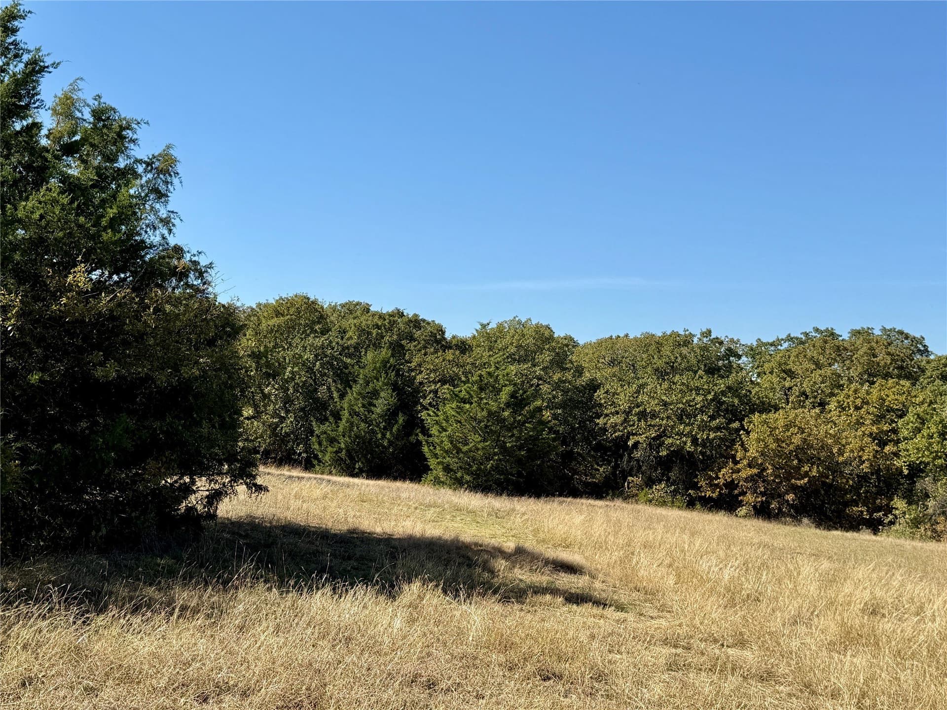 25 acres in Montague County - photo 8