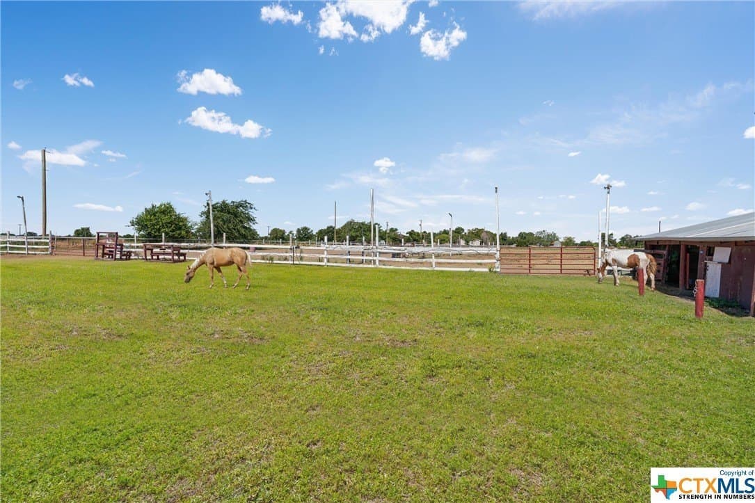 10 acres in Milam County - photo 14
