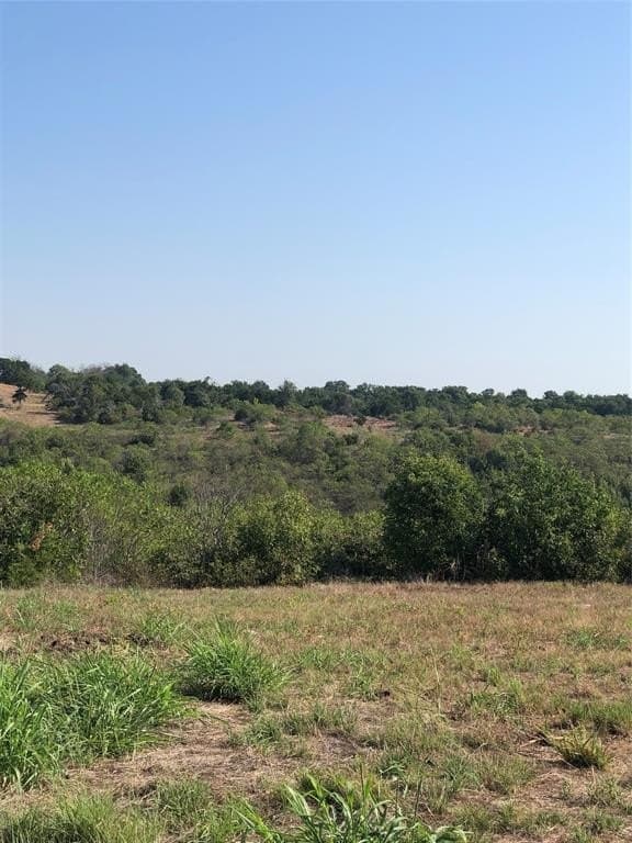 0.6 acres in Johnson County gallery image 2