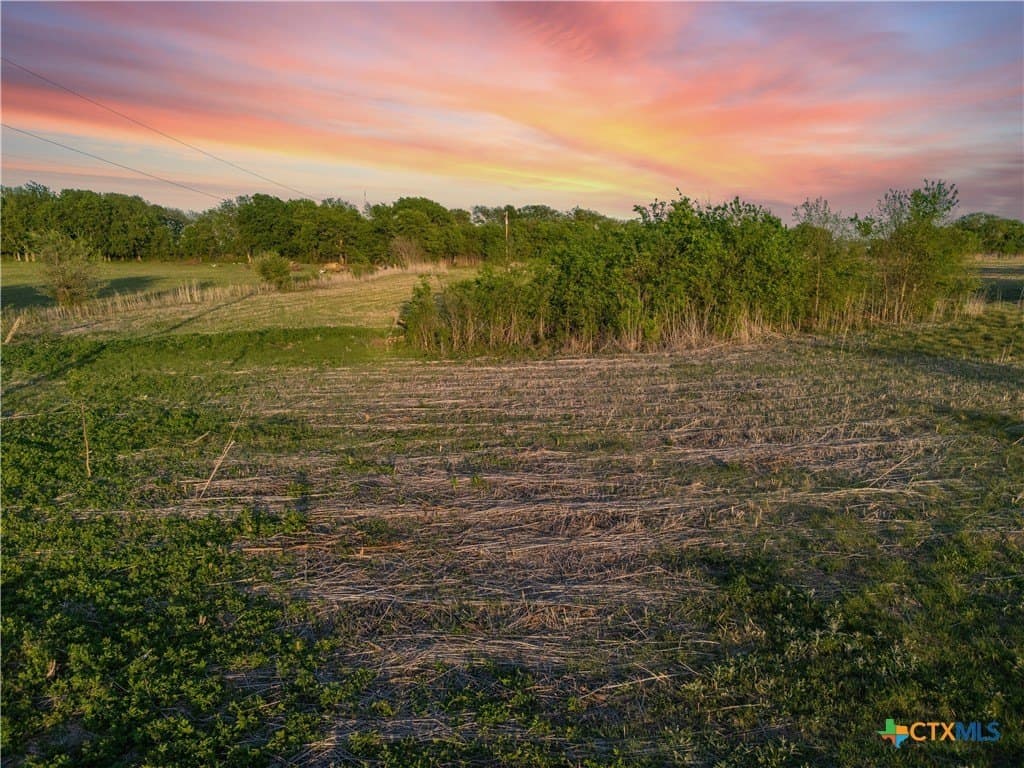 7.77 acres in Bell County gallery image 4