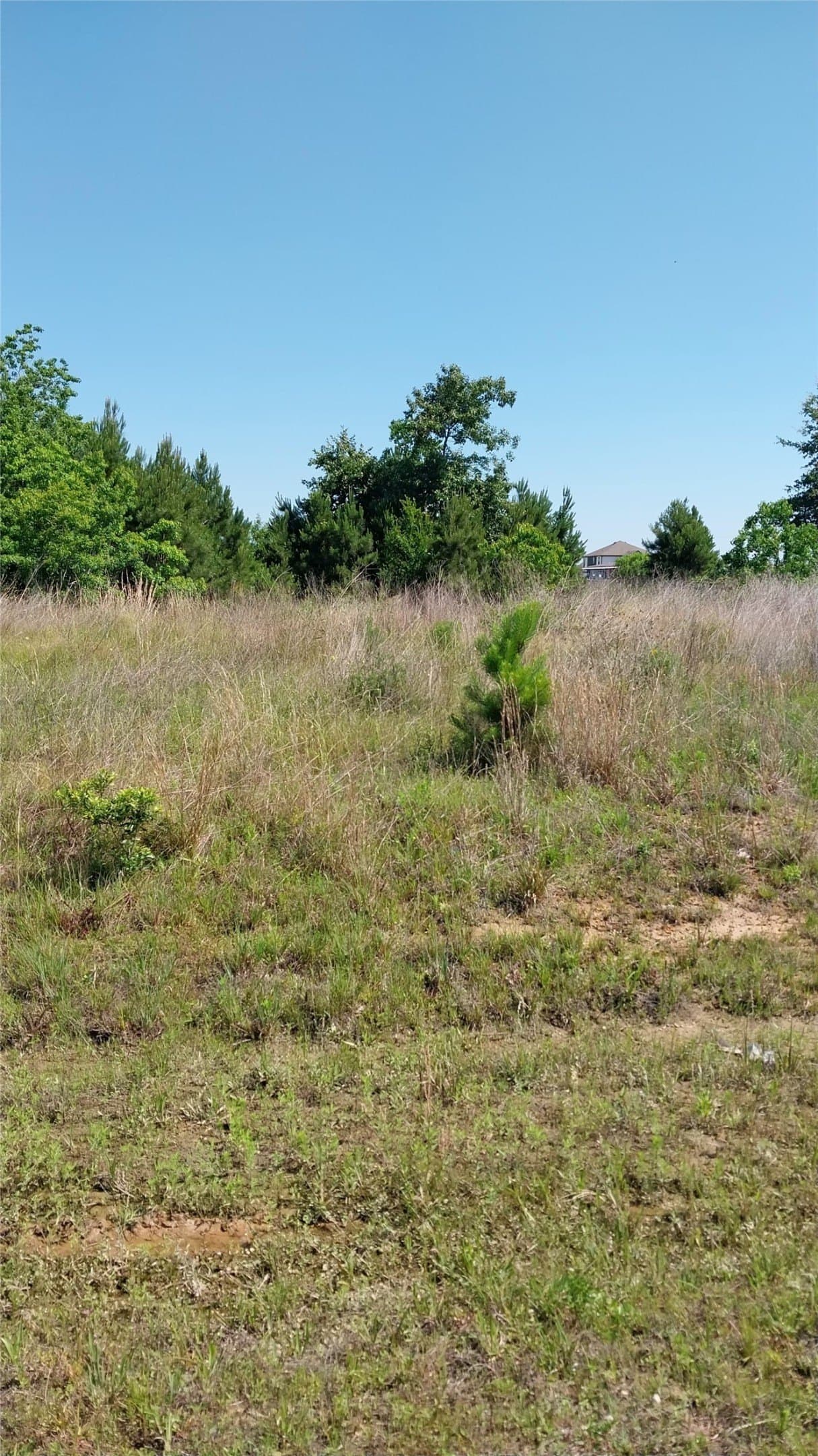 0.17 acres in Liberty County gallery image 4