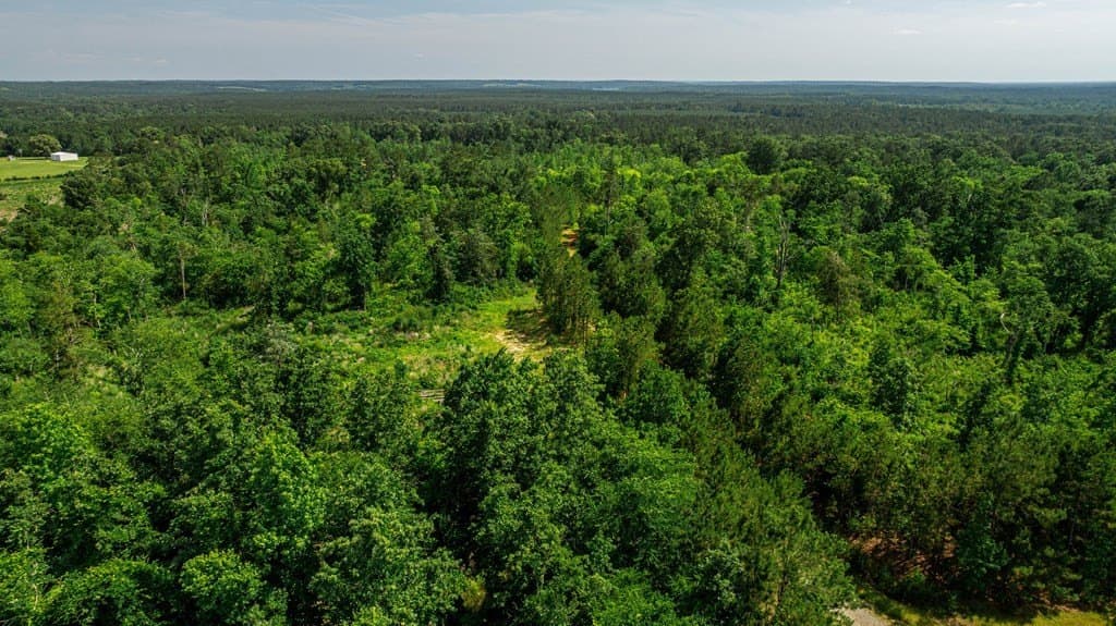 7.66 acres in Texas County - photo 10