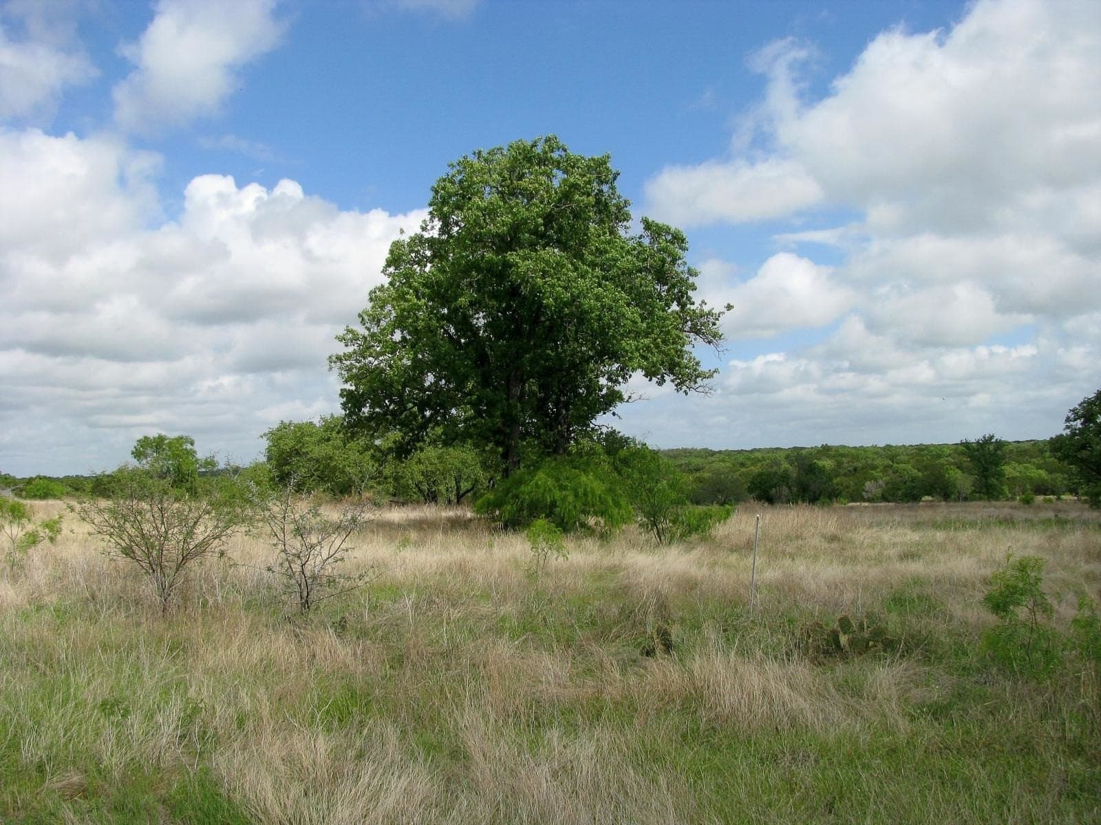 20.02 acres in Hamilton County - photo 23