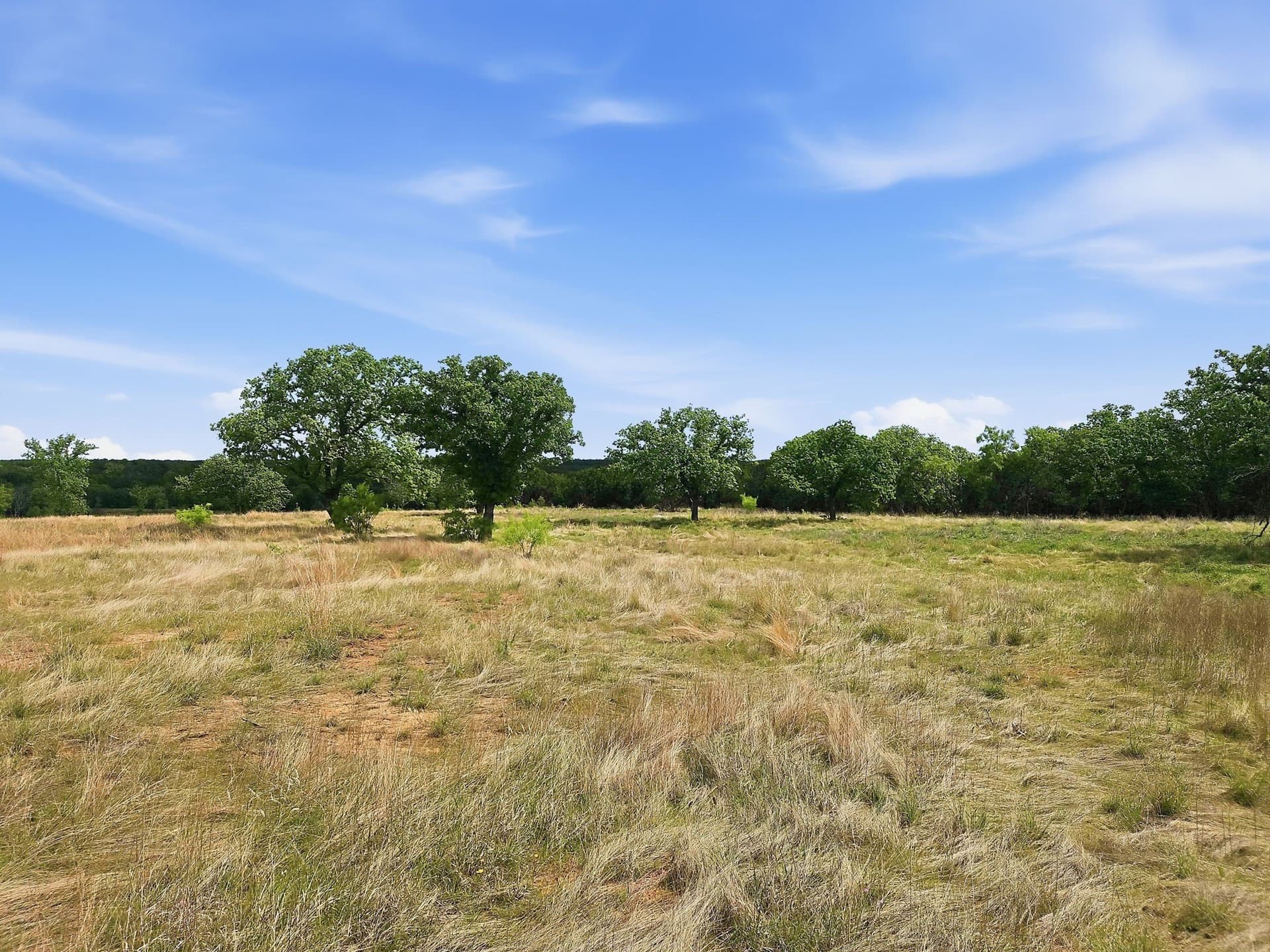 20.02 acres in Hamilton County - photo 11
