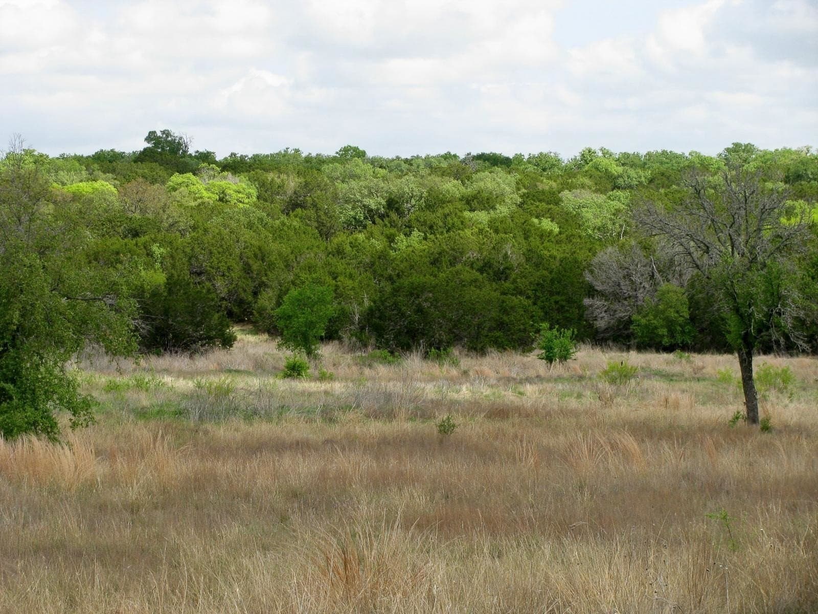 20.02 acres in Hamilton County - photo 27