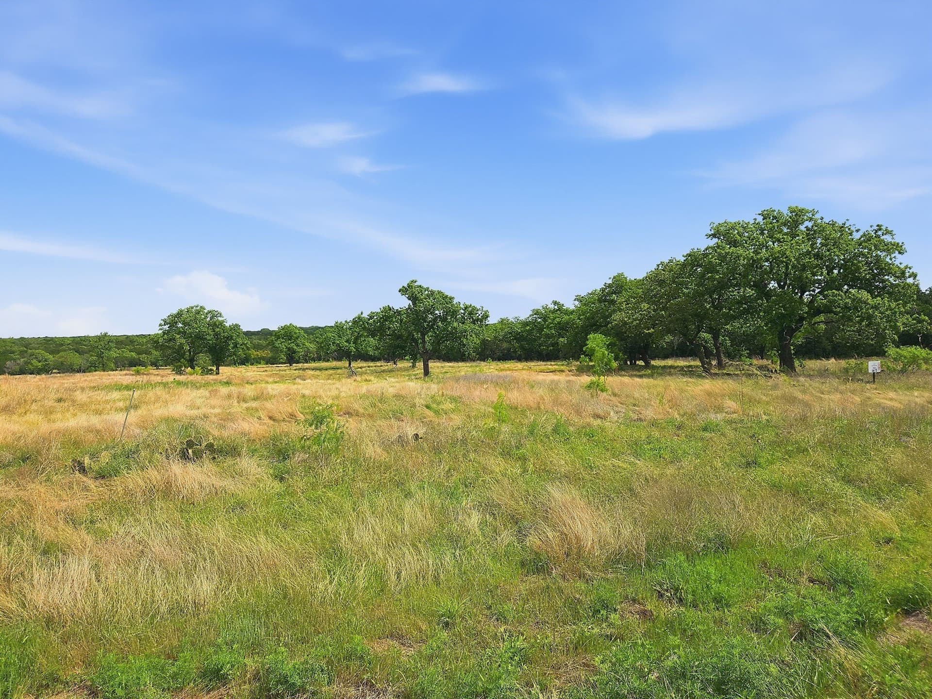 20.02 acres in Hamilton County gallery image 3