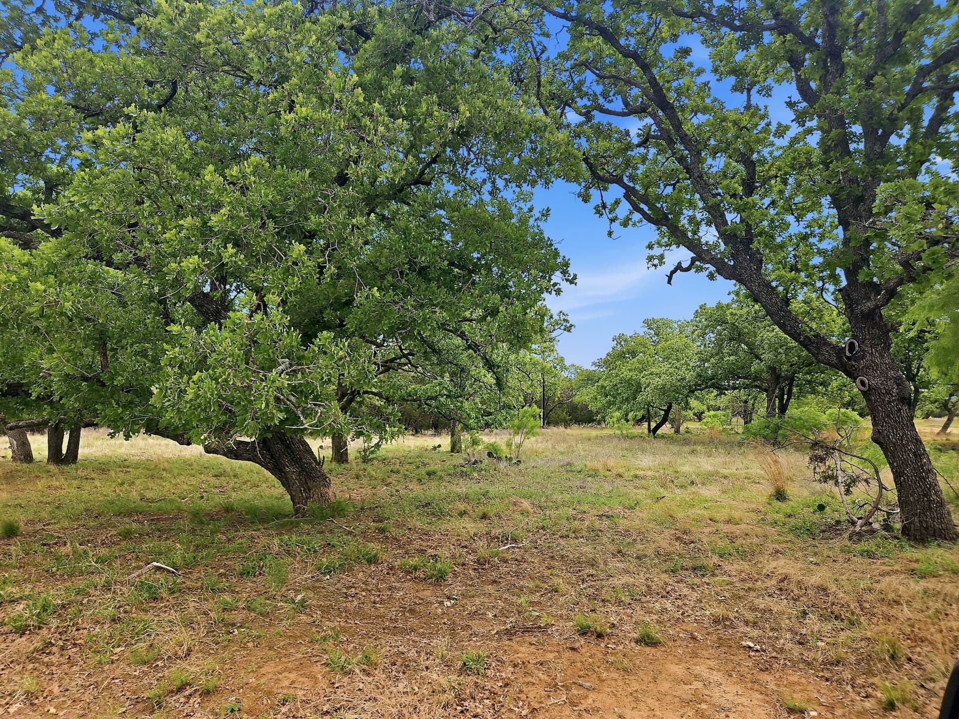 20.02 acres in Hamilton County featured view
