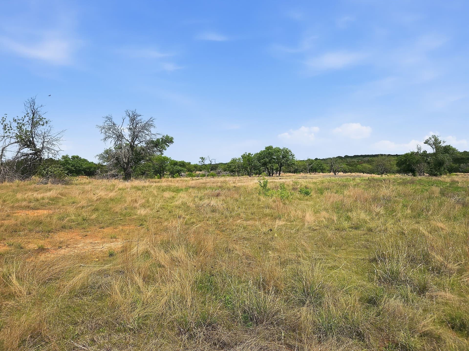 20.02 acres in Hamilton County - photo 13