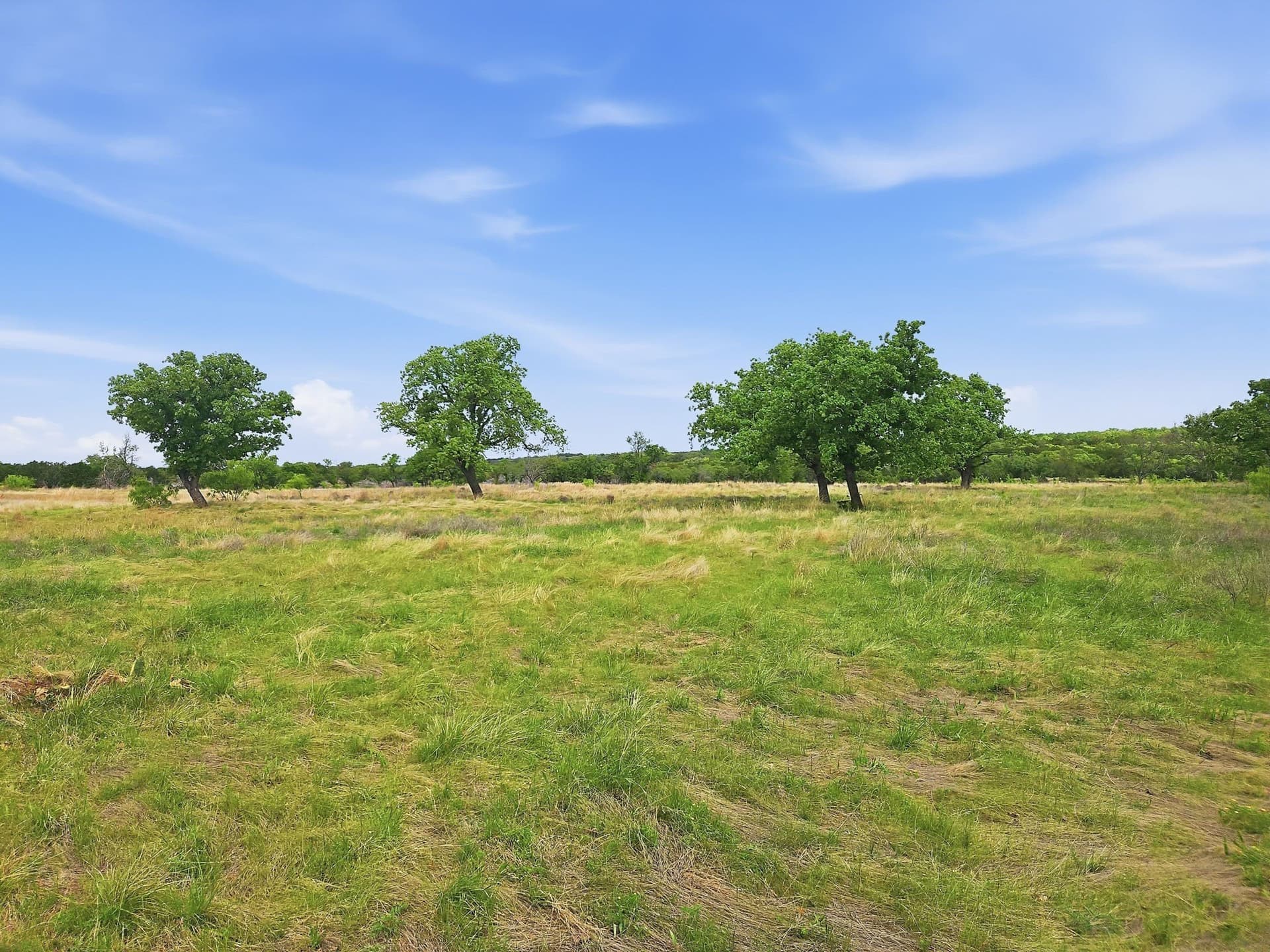 20.02 acres in Hamilton County - photo 7