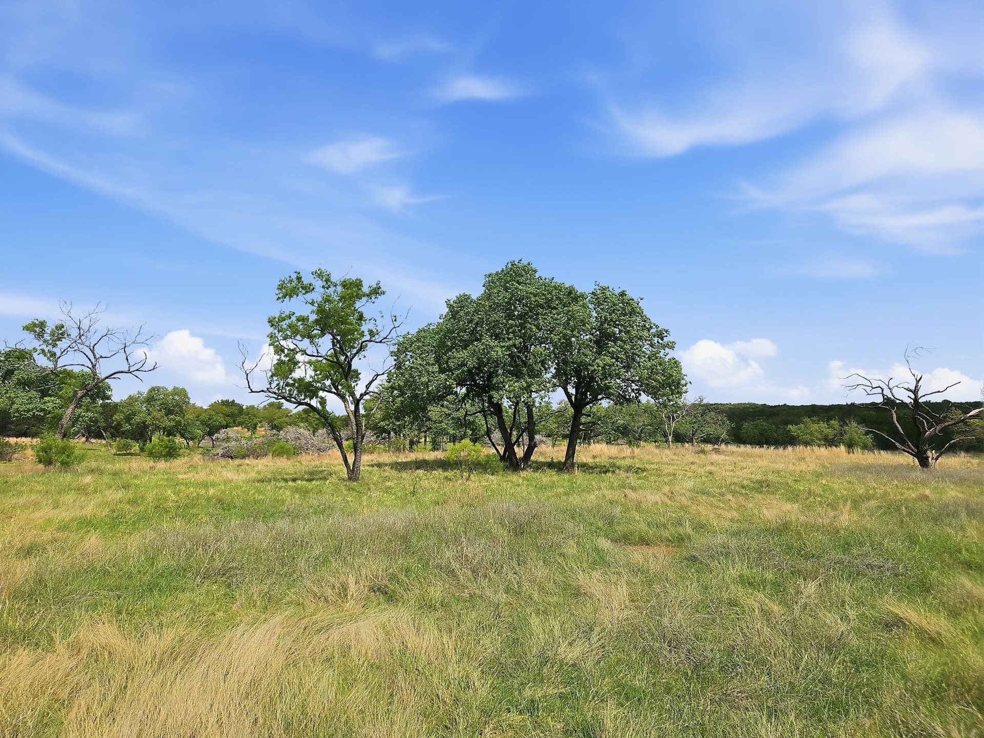 20.02 acres in Hamilton County - photo 14