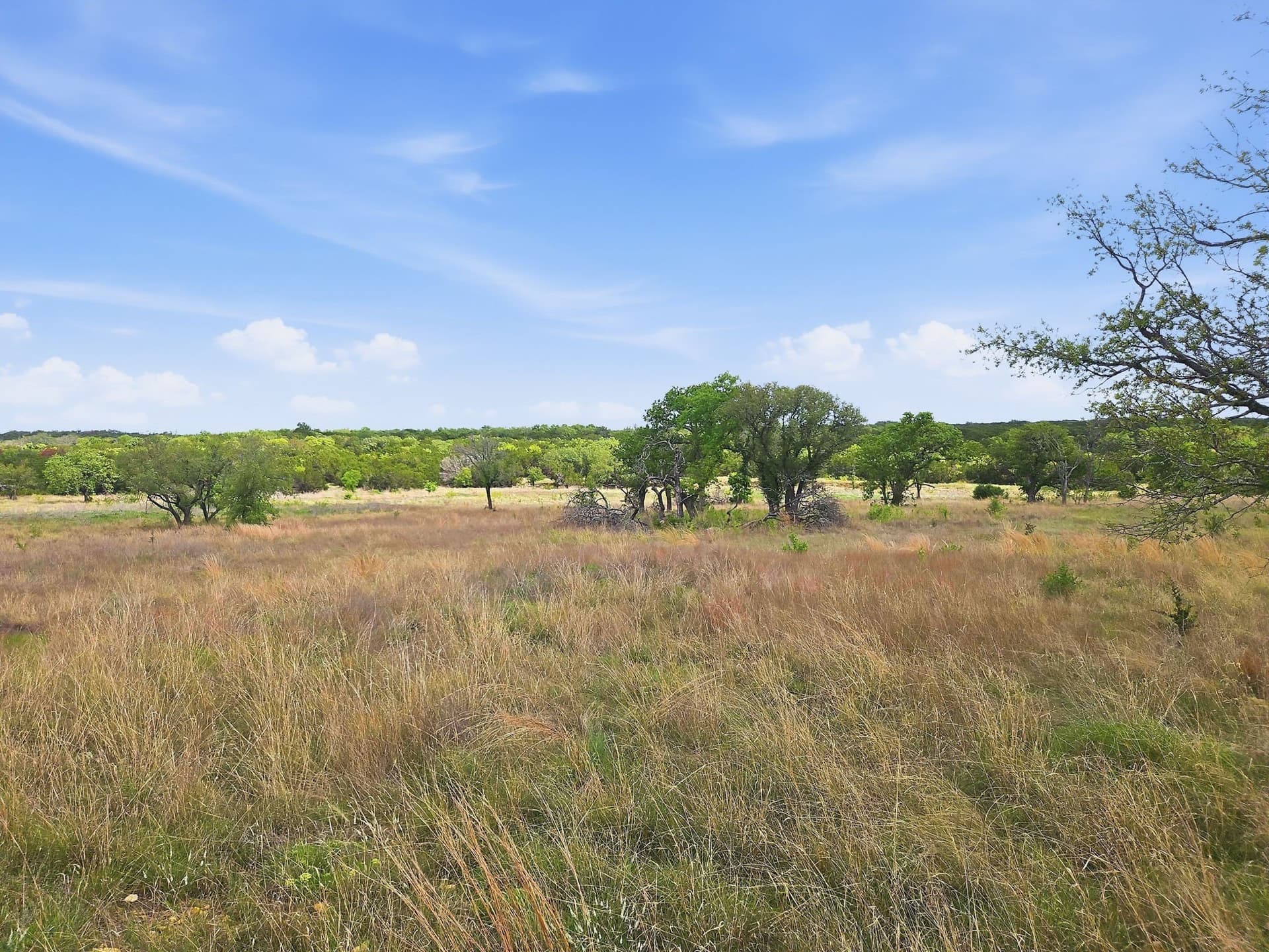 20.02 acres in Hamilton County - photo 16