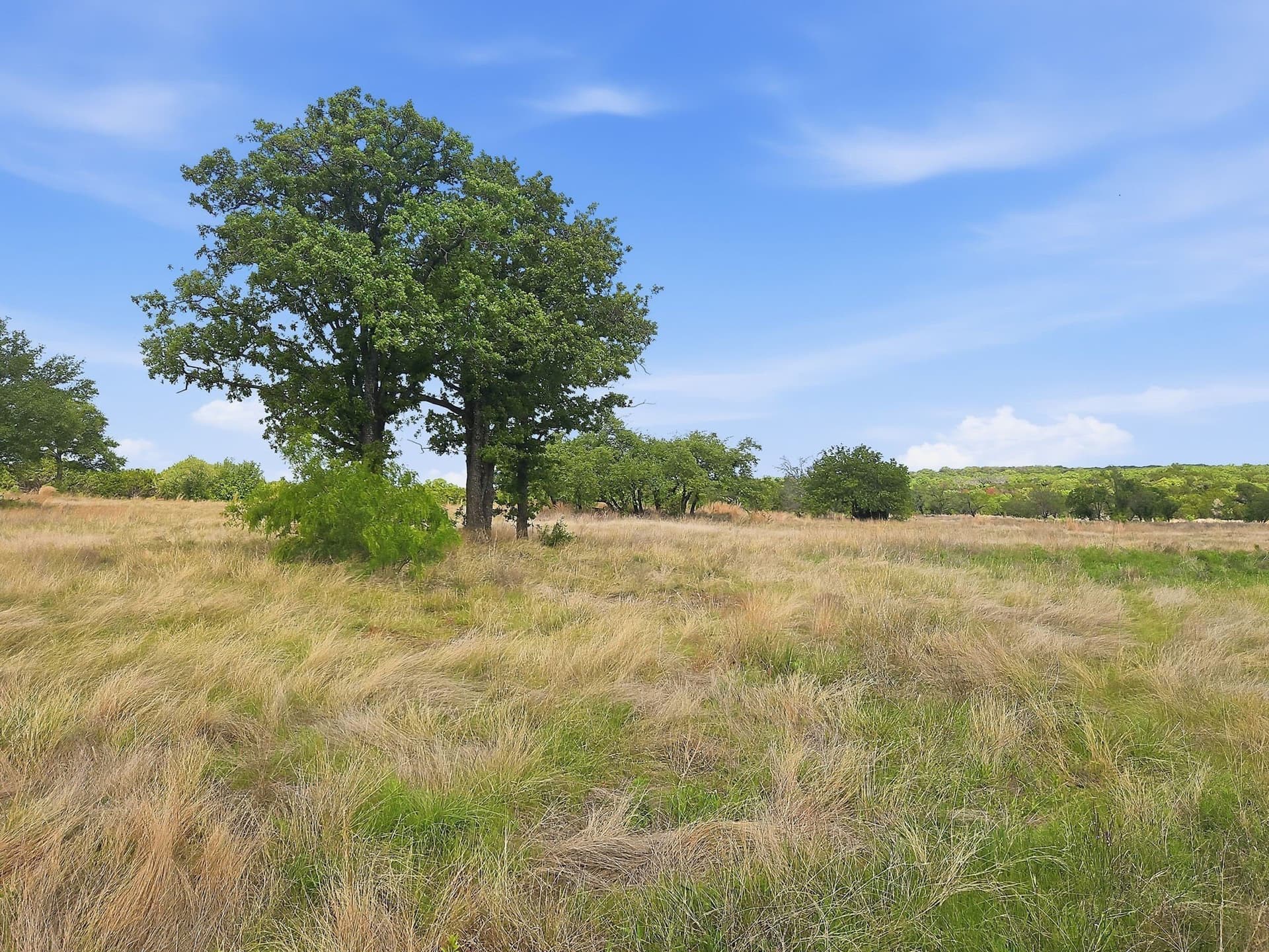 20.02 acres in Hamilton County gallery image 4