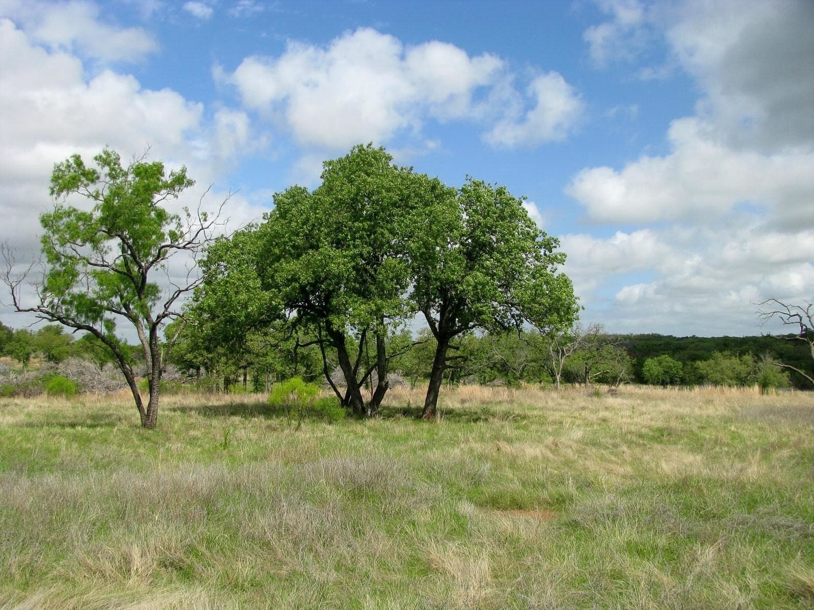 20.02 acres in Hamilton County - photo 25