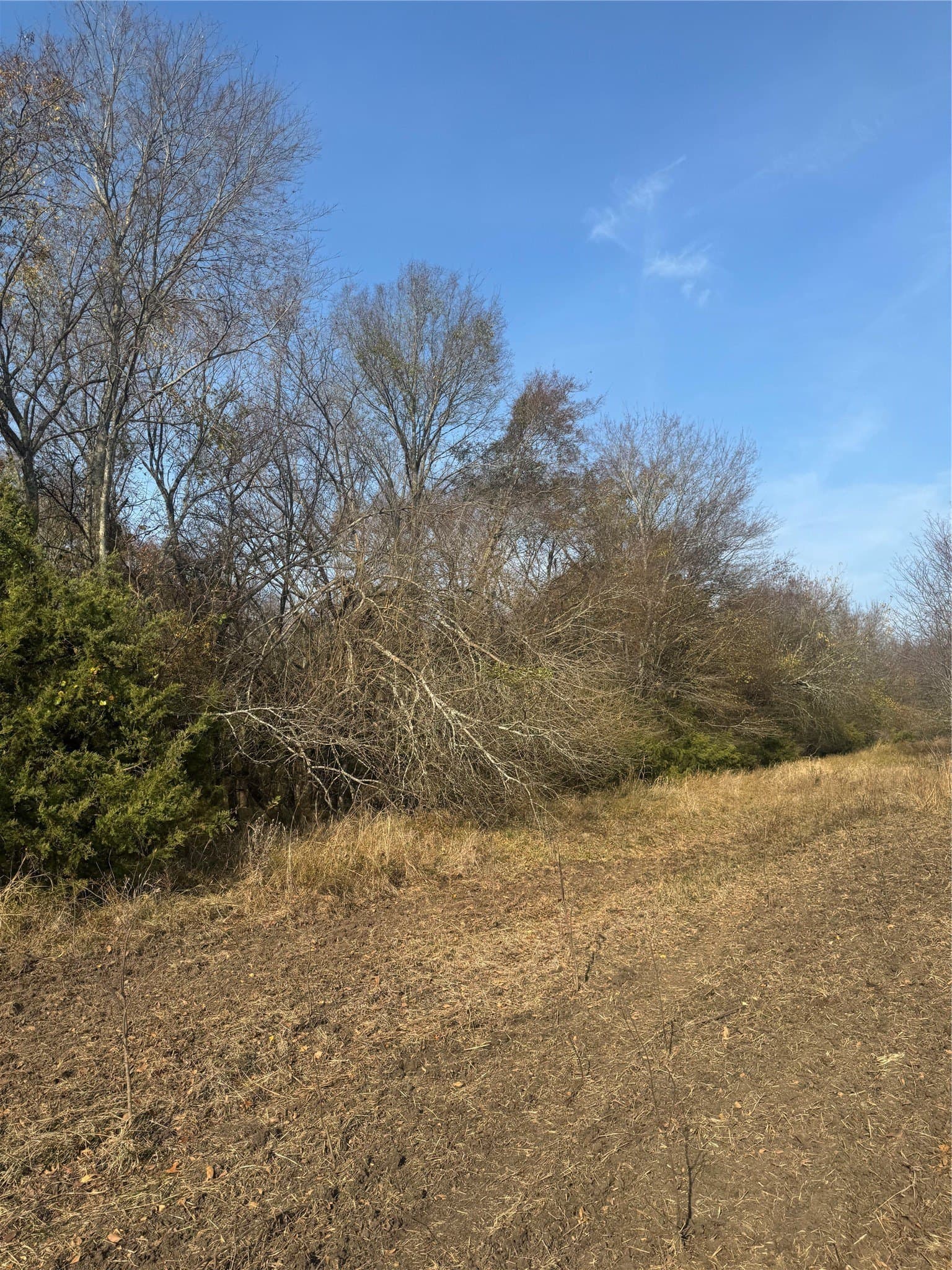 119 acres in Red River (TX) County - photo 19