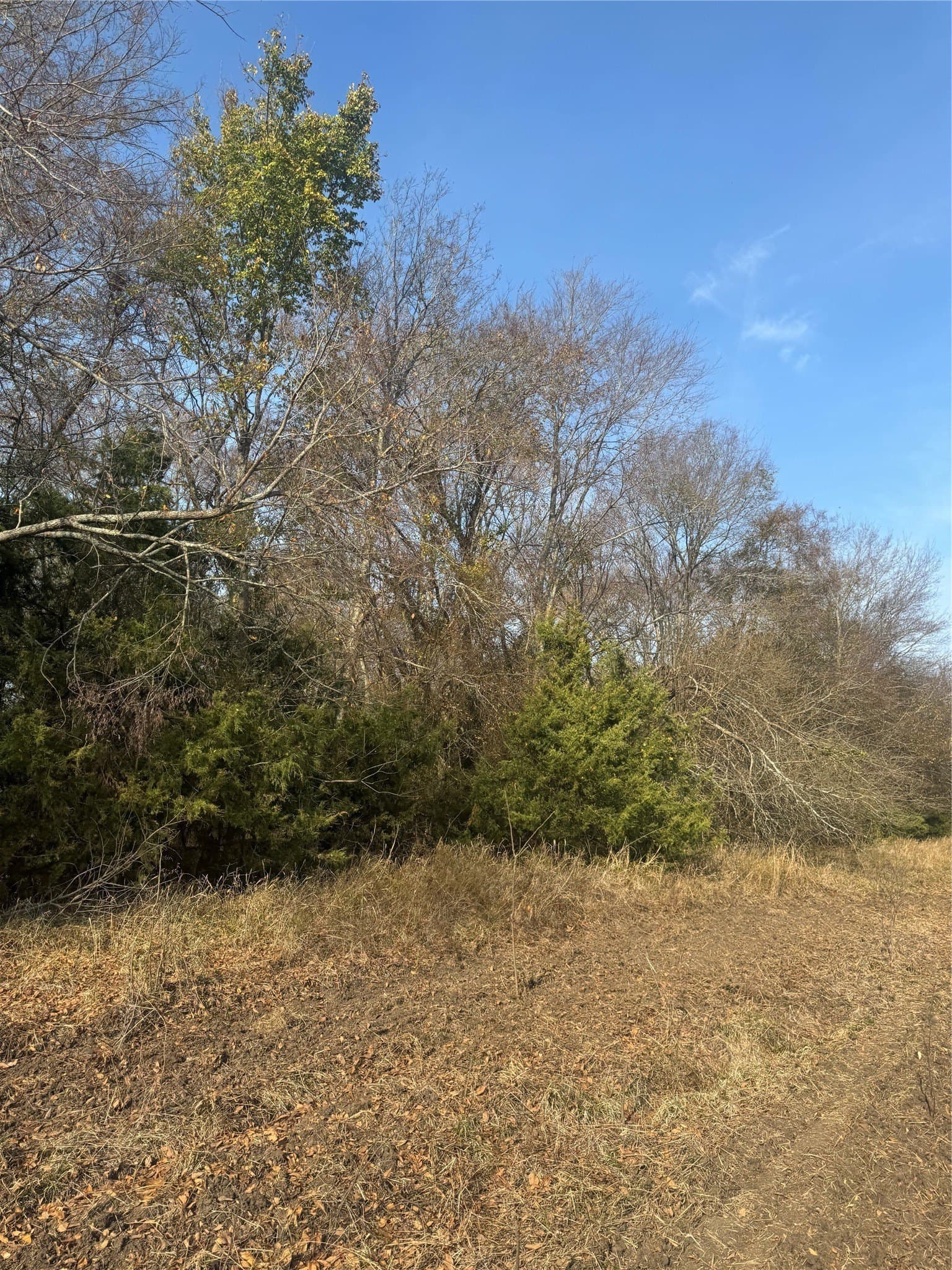 119 acres in Red River (TX) County - photo 18