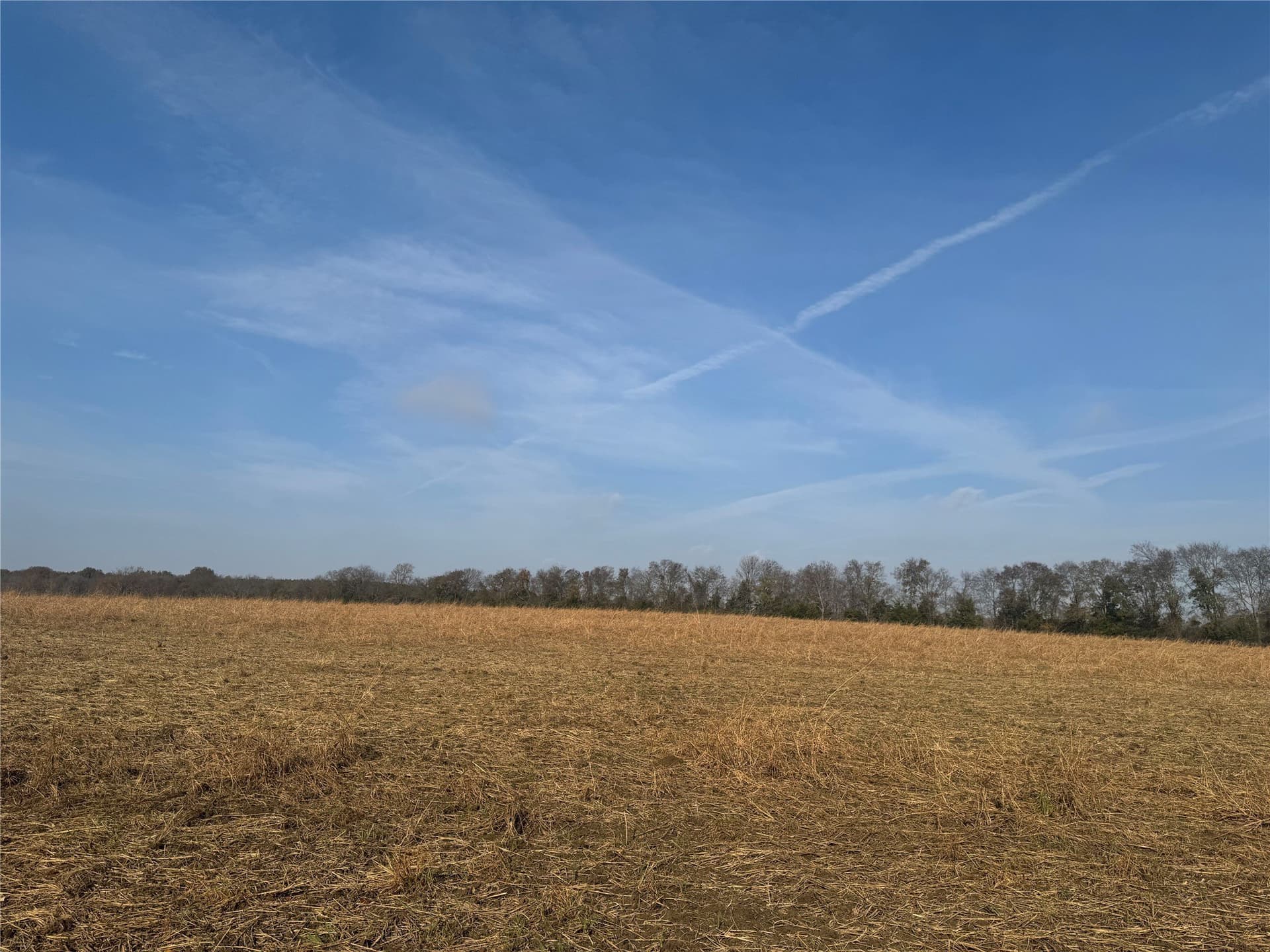 119 acres in Red River (TX) County - photo 2