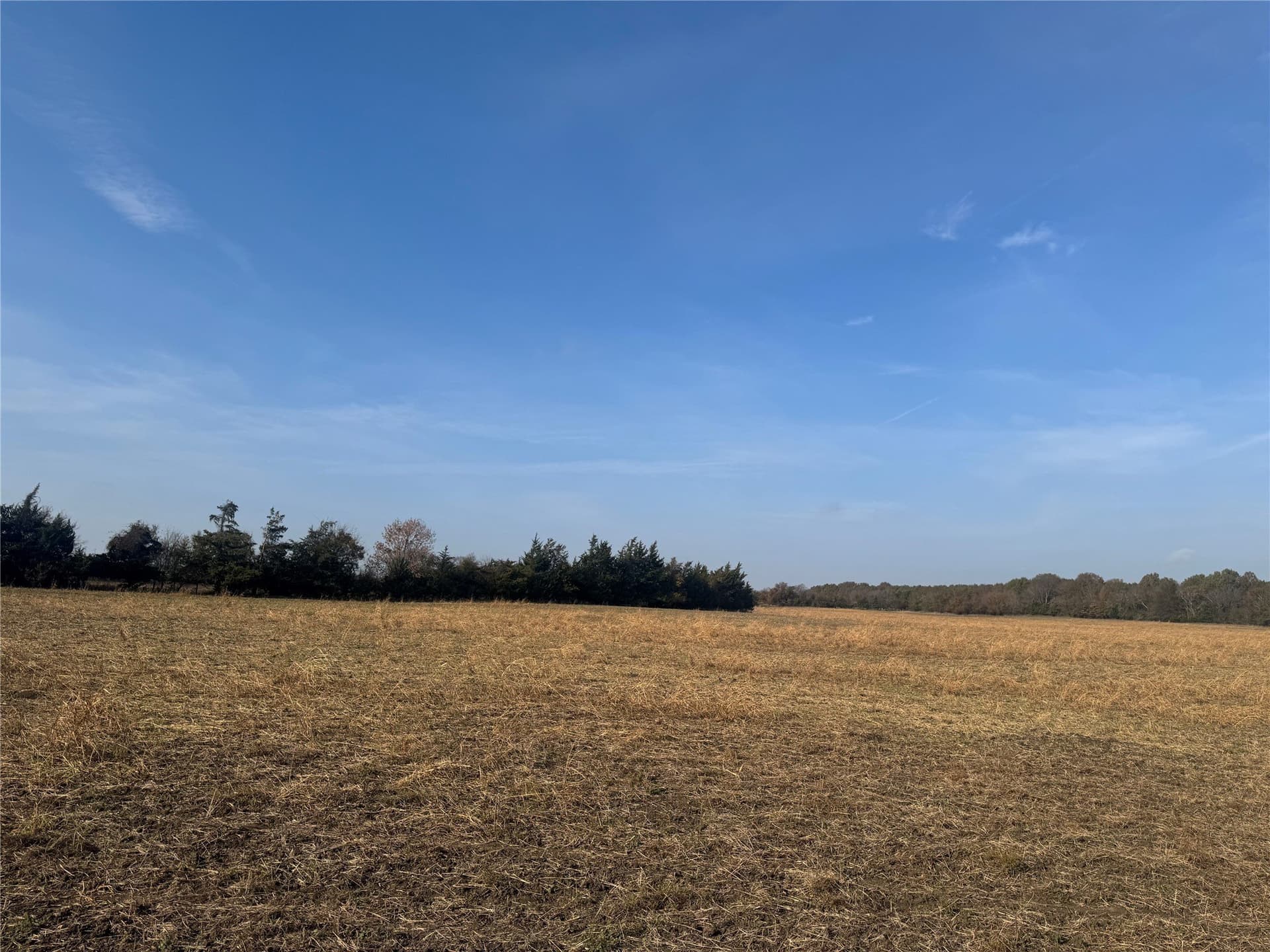 119 acres in Red River (TX) County - photo 8