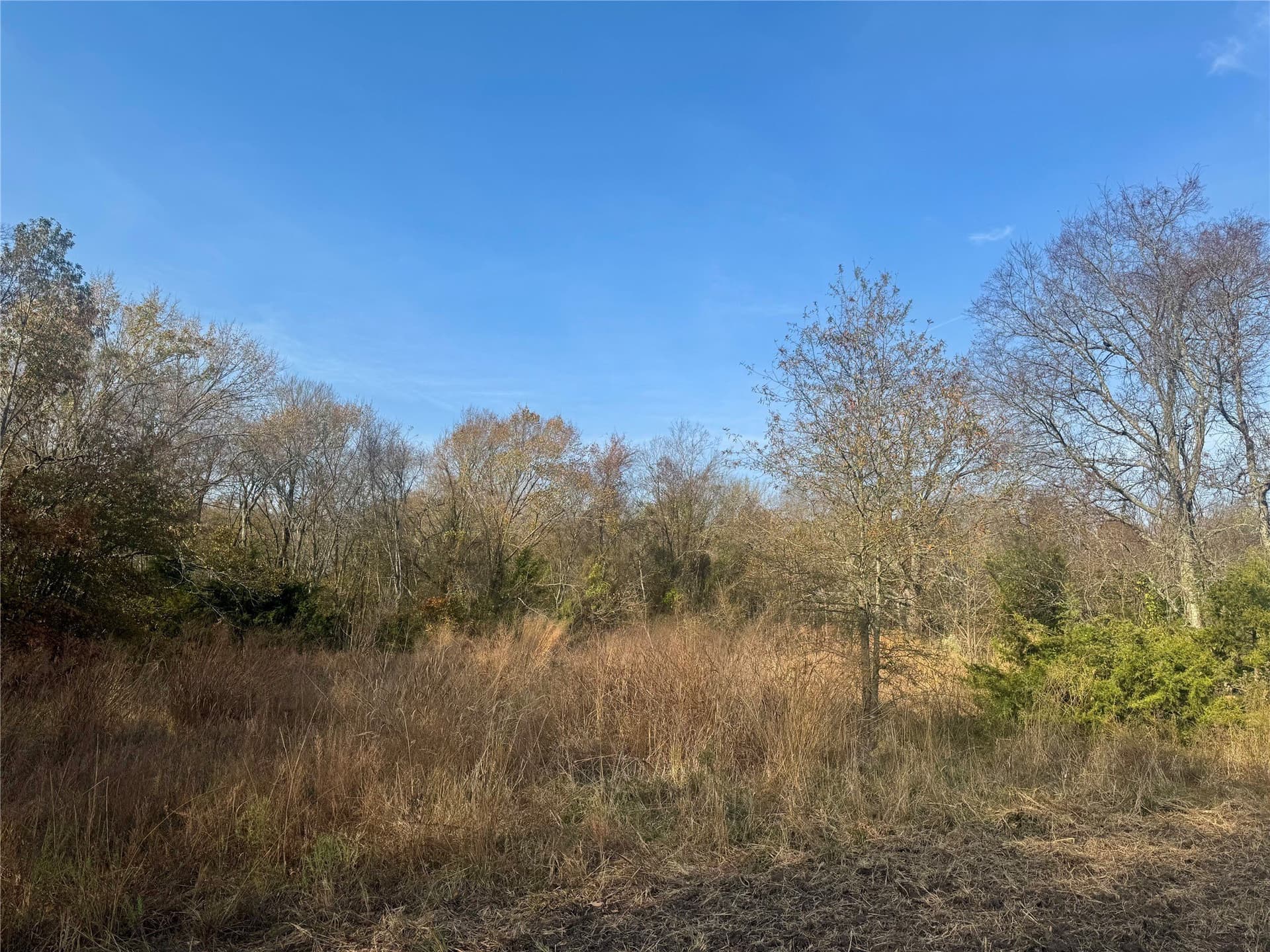 119 acres in Red River (TX) County - photo 15