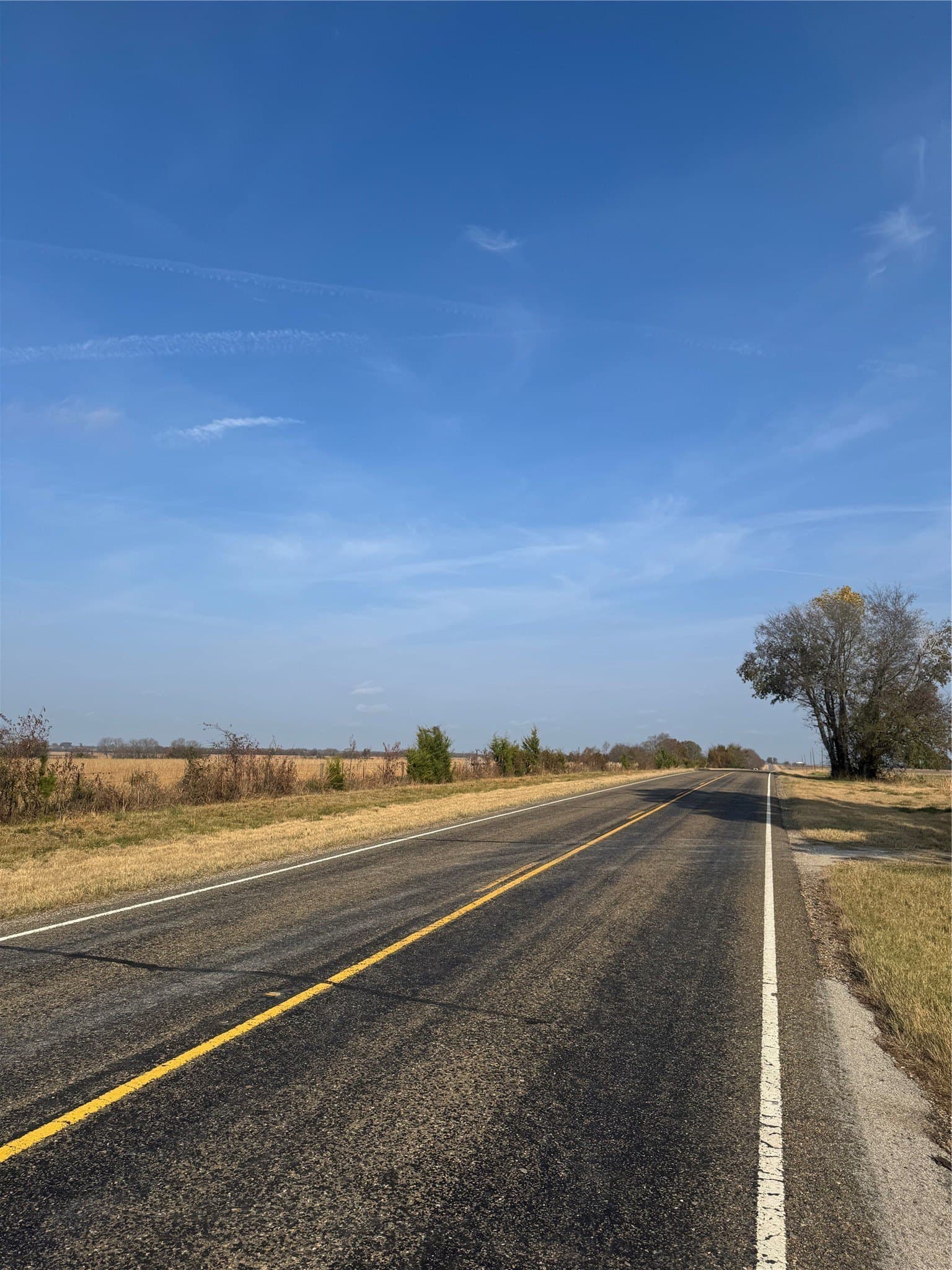 119 acres in Red River (TX) County - photo 21