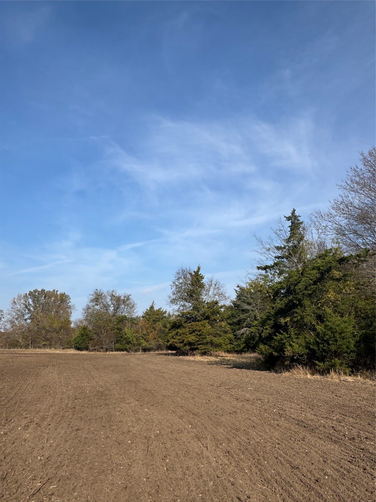 119 acres in Red River (TX) County - photo 11