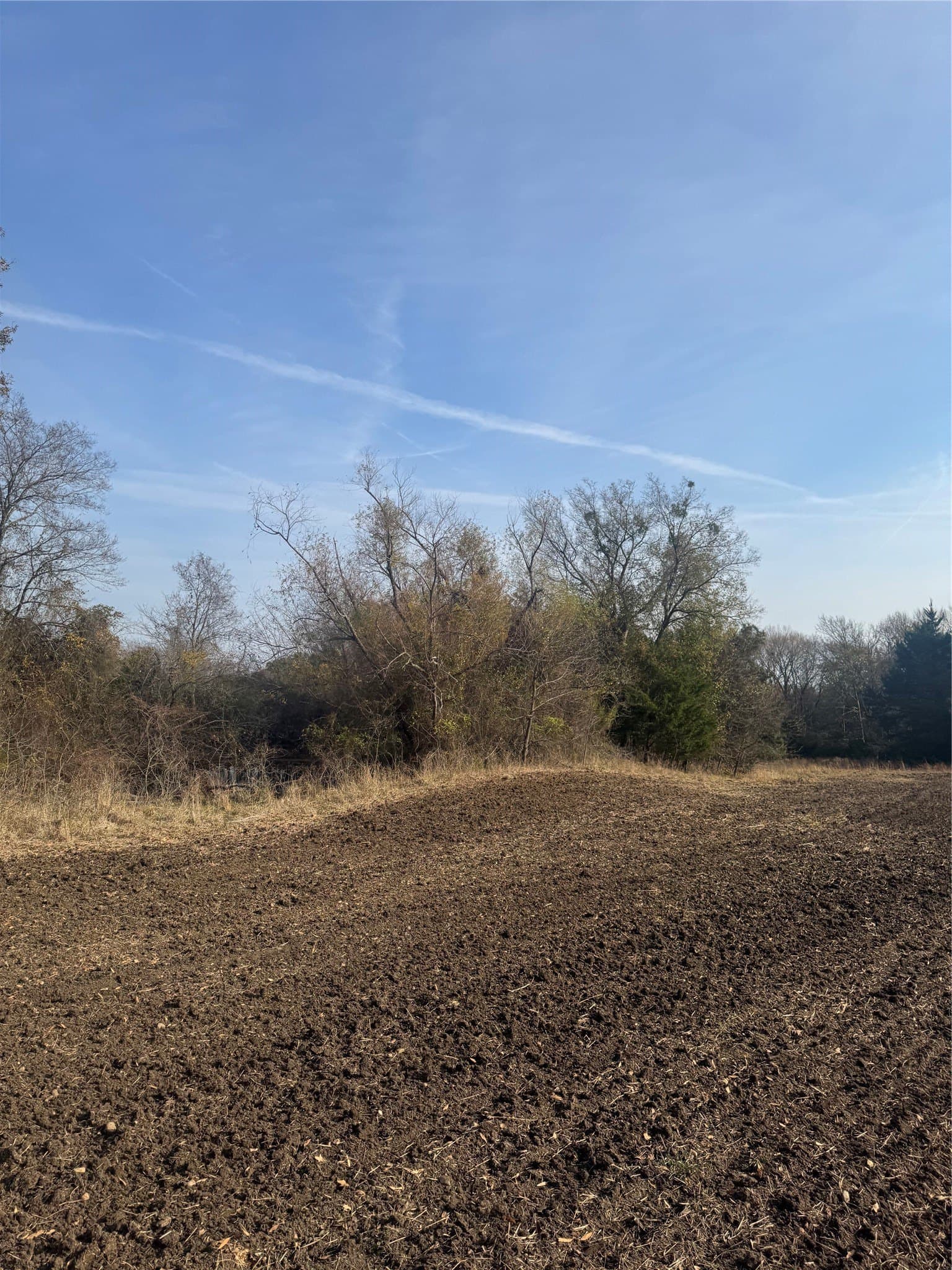 119 acres in Red River (TX) County - photo 9
