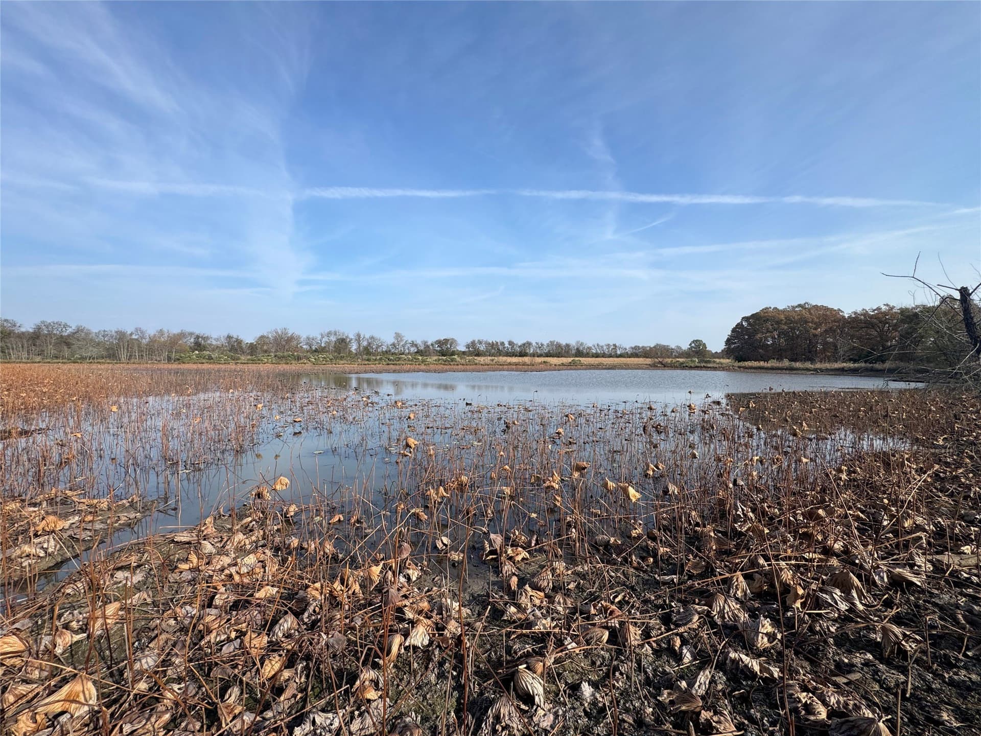 119 acres in Red River (TX) County - photo 6