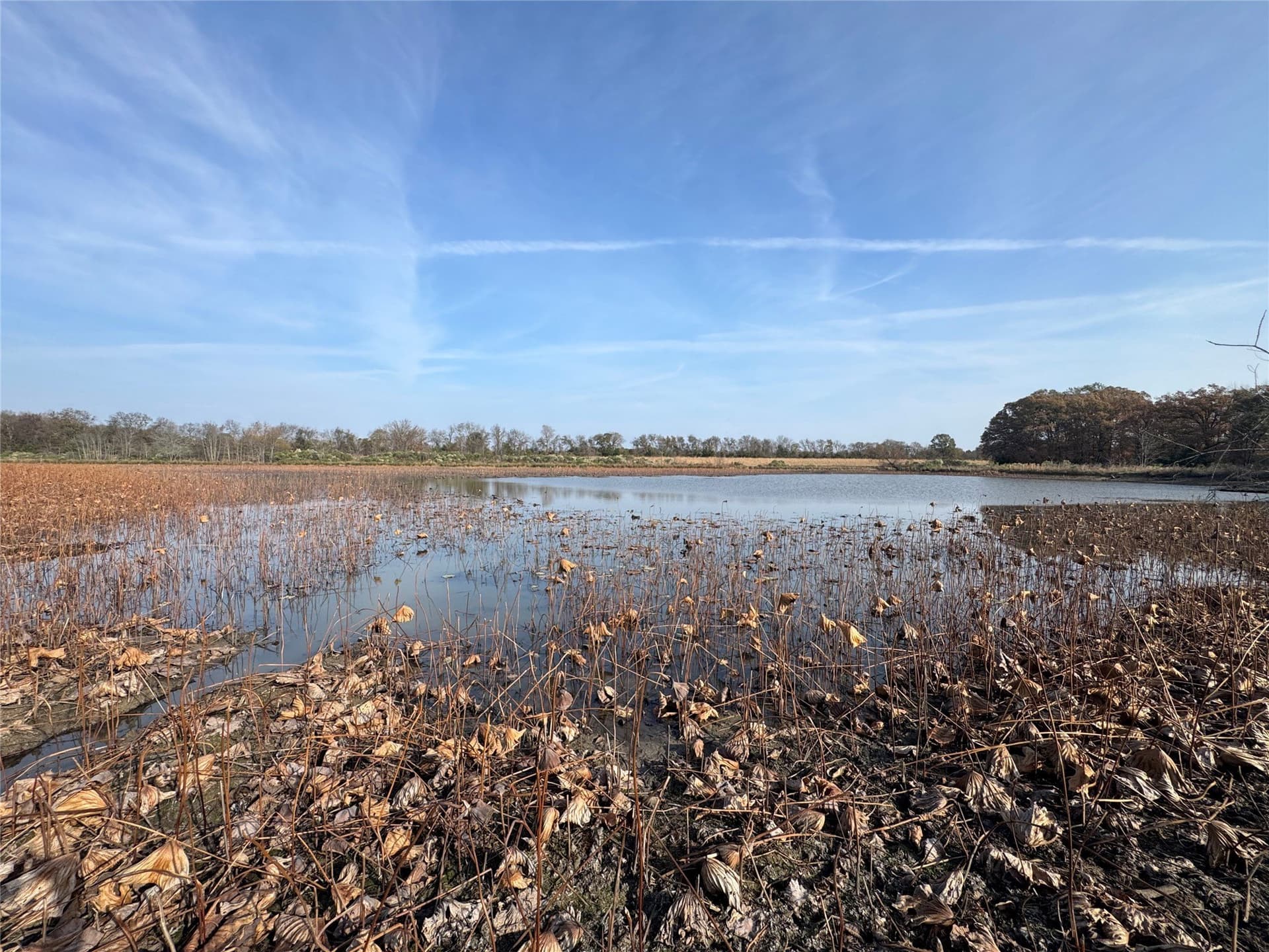 119 acres in Red River (TX) County - photo 7
