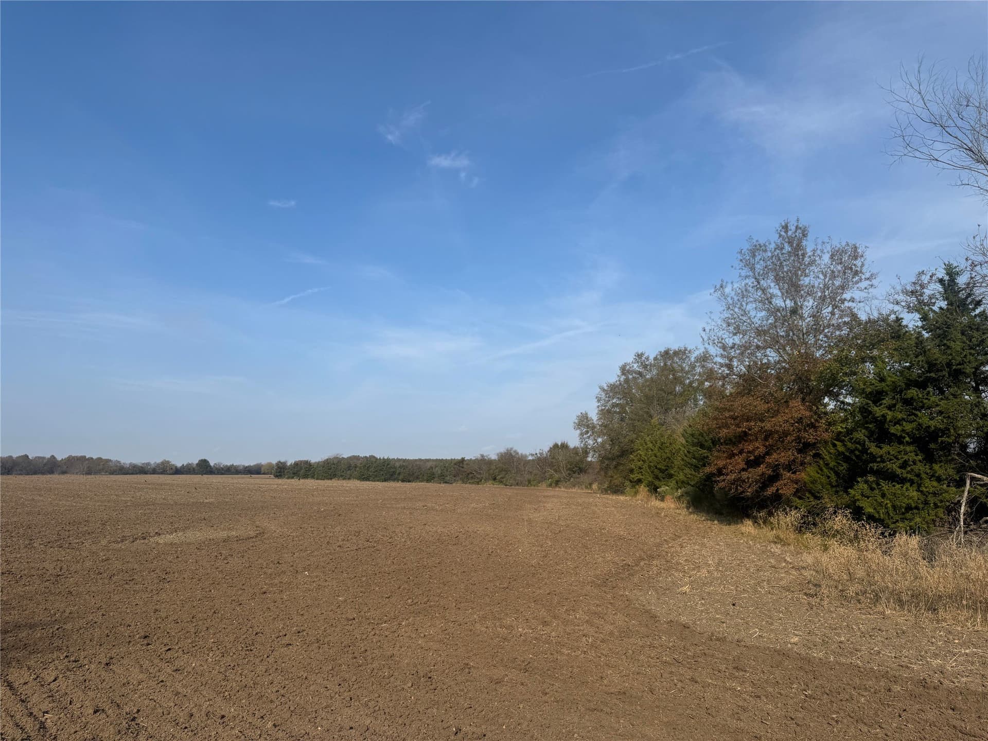 119 acres in Red River (TX) County - photo 12