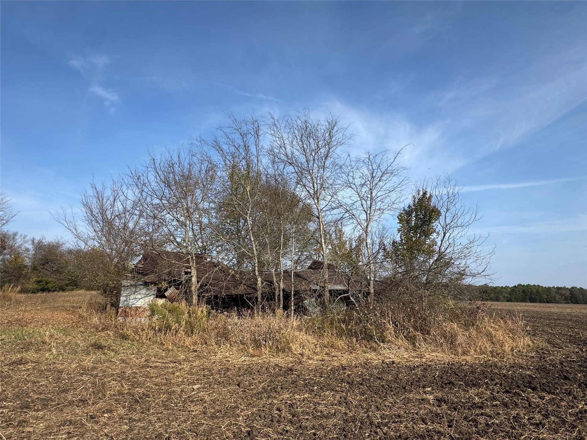 119 acres in Red River (TX) County - photo 20