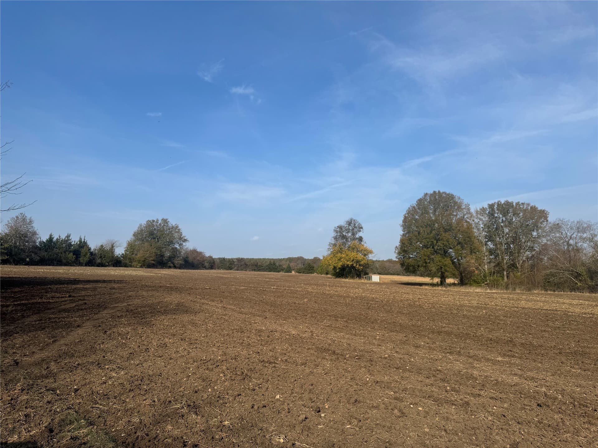 119 acres in Red River (TX) County - photo 10