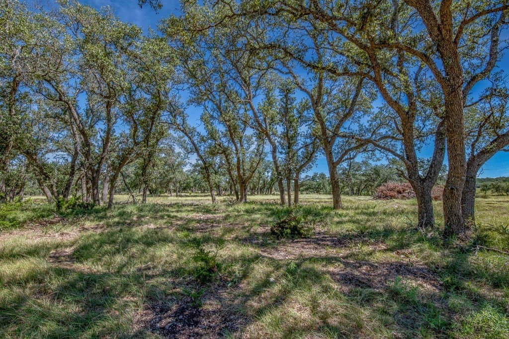 10.3 acres in Gillespie County - photo 8