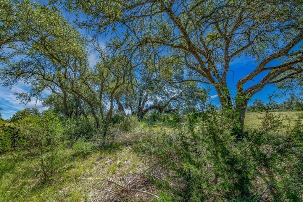 10.3 acres in Gillespie County - photo 6