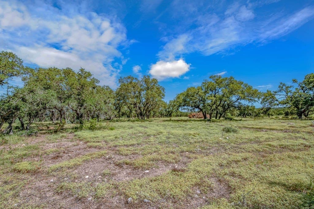10.3 acres in Gillespie County - photo 7
