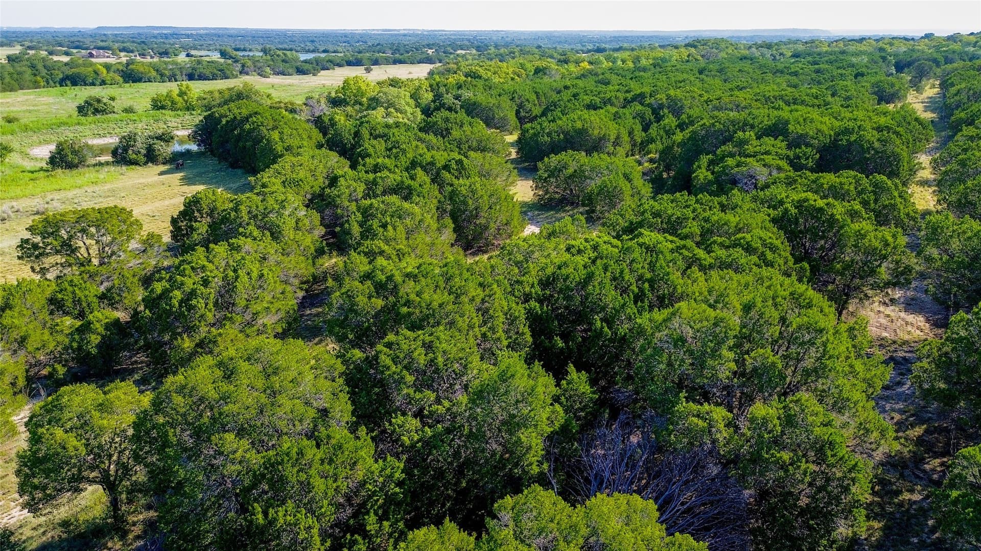 30 acres in Bosque County - photo 12