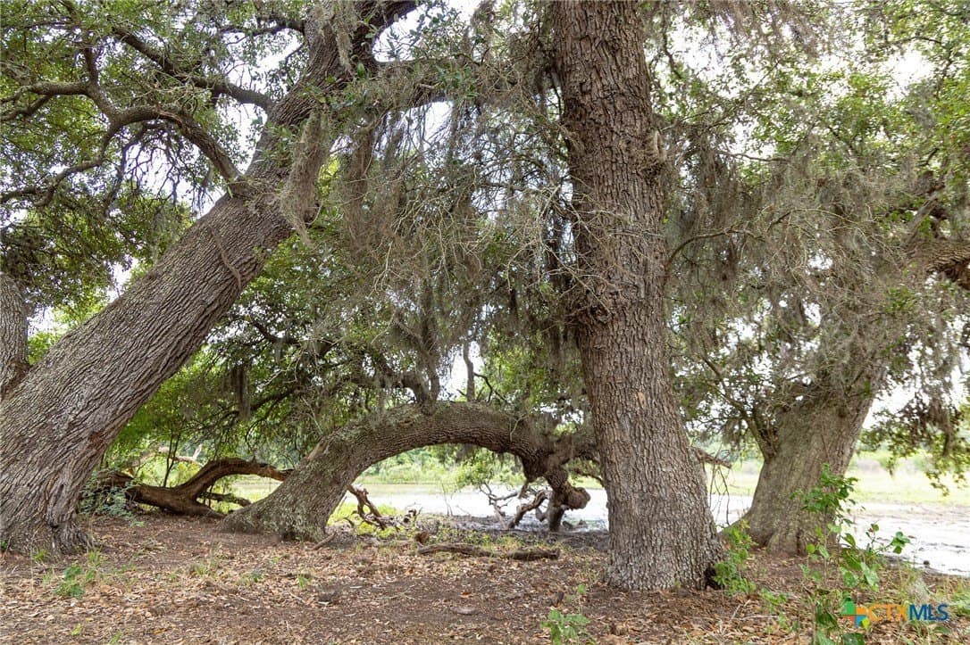 42.78 acres in Lavaca County featured view